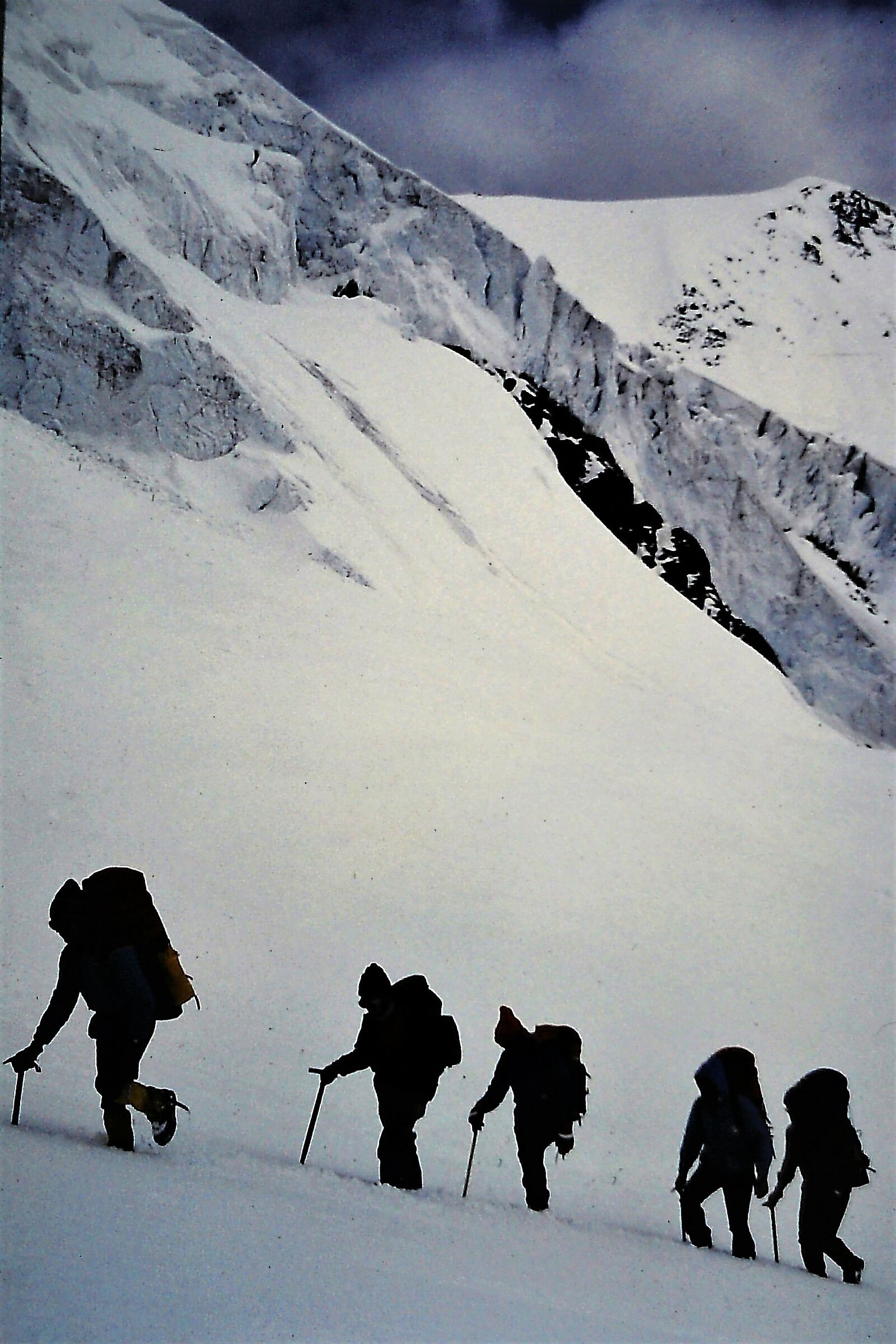 Compagni di cordata sotto i seracchi del Dosegù