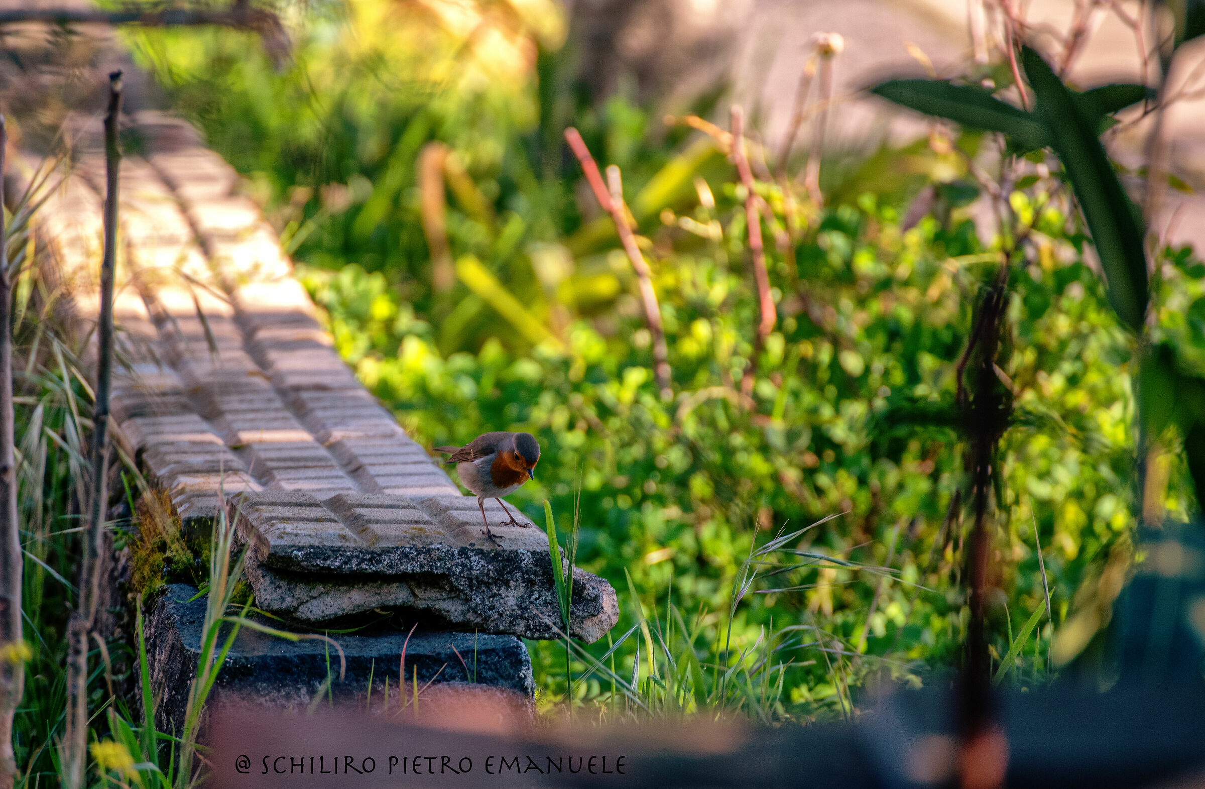 There's someone... - End of the road, but I'm flying.