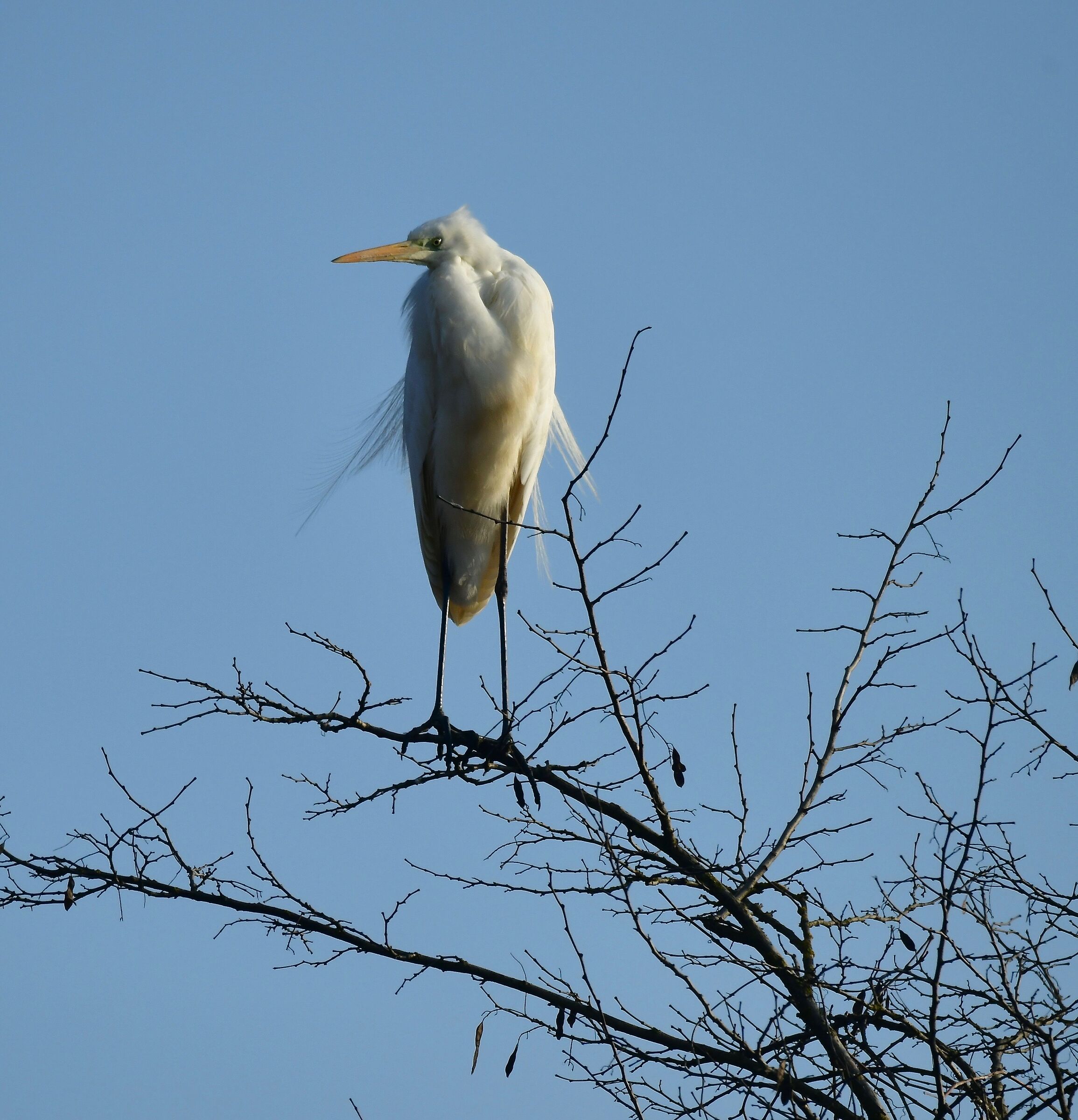 in the blue painted blue