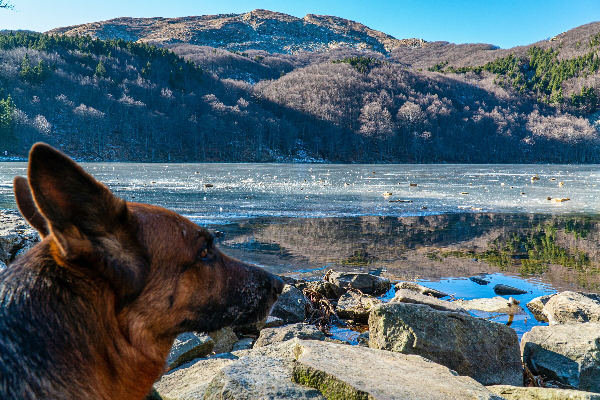 Relaxing on the lake