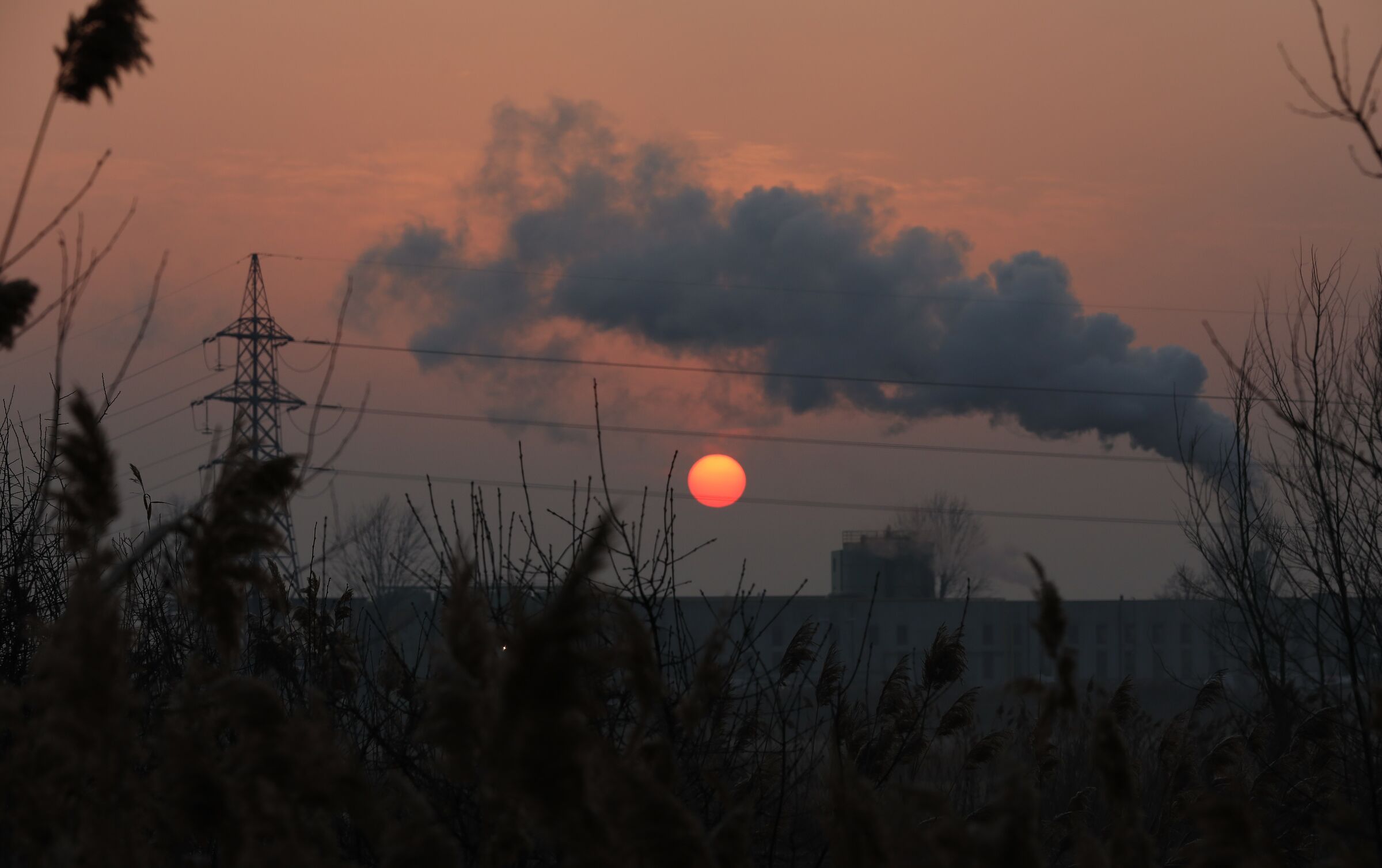 La natura crea...l'uomo distrugge!!!
