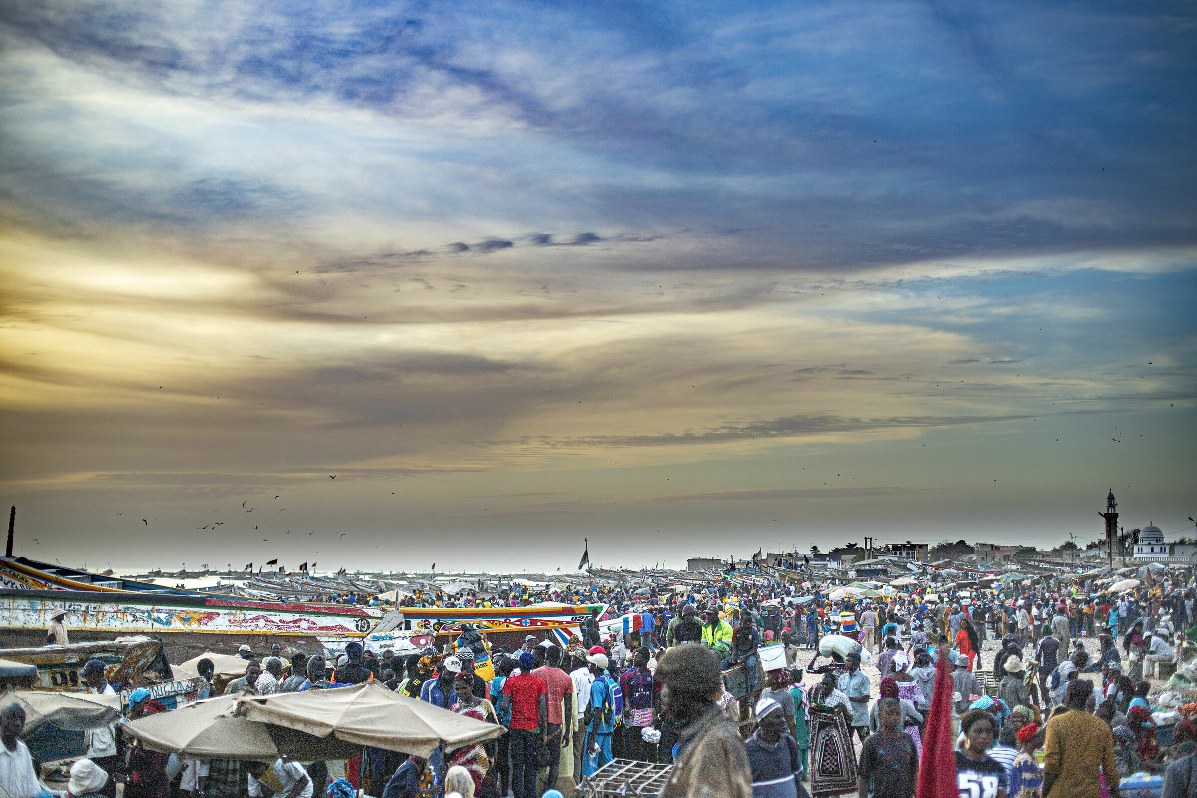 Mercato del Pesce di Mbour - Senegal