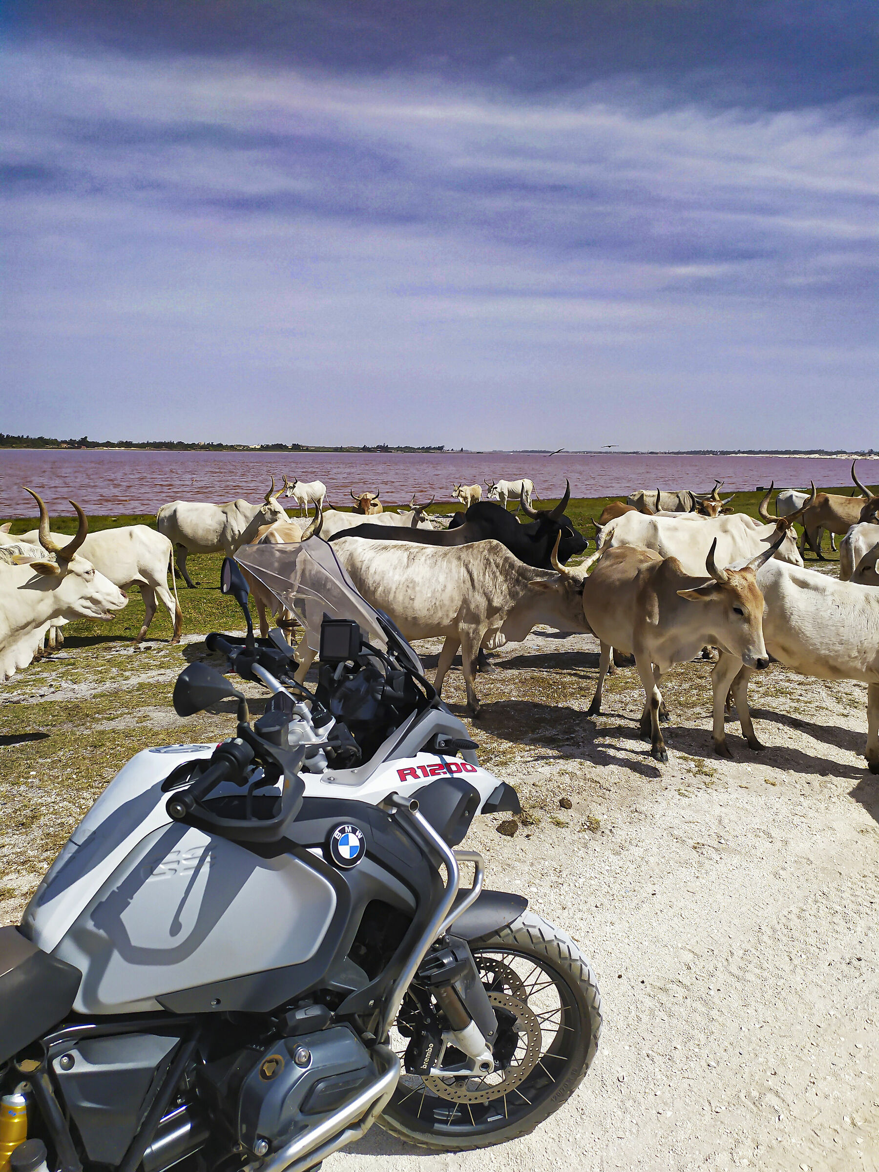 Lago Rosa - Dakar II