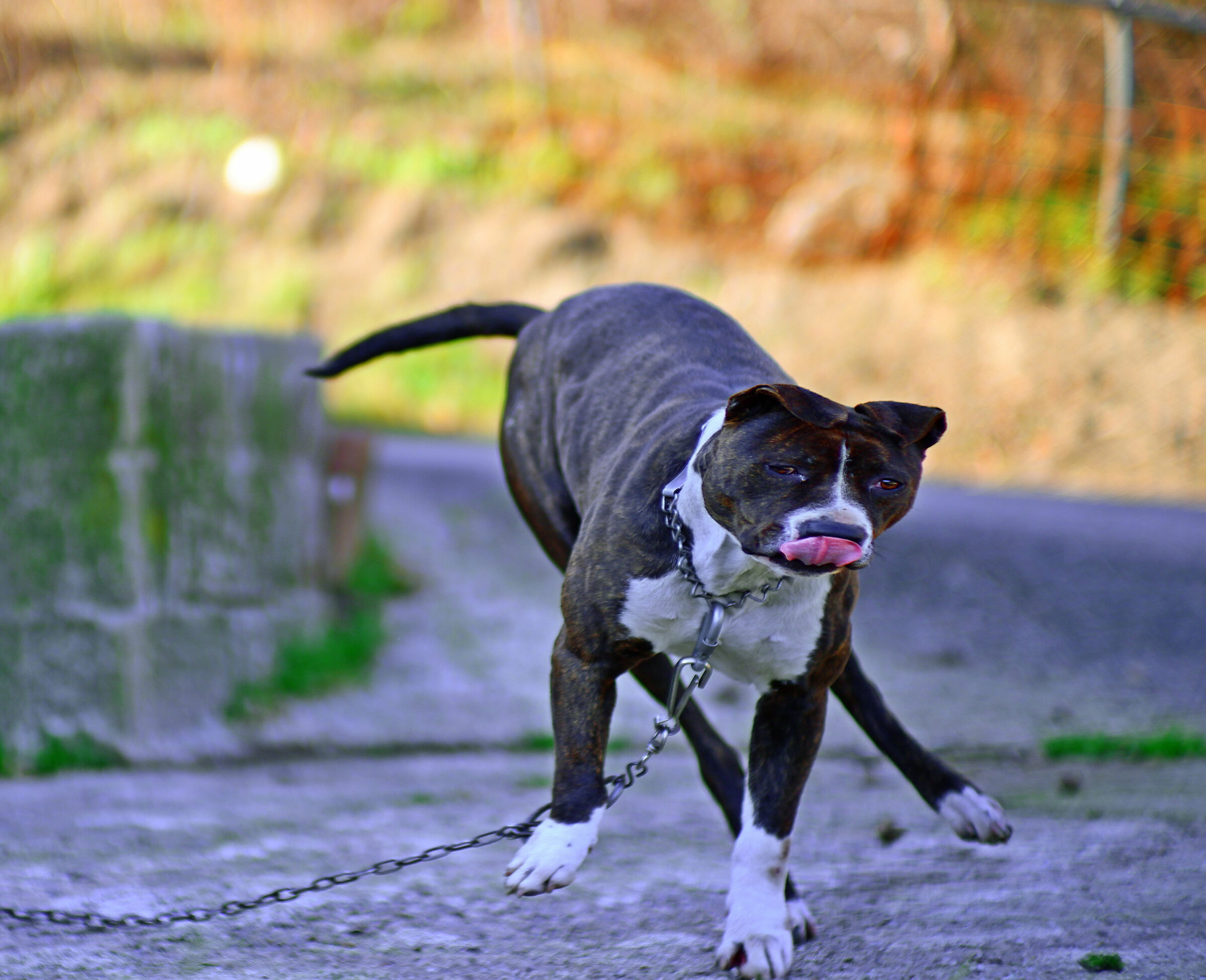 Ehi cucciolotto non ti agitare...