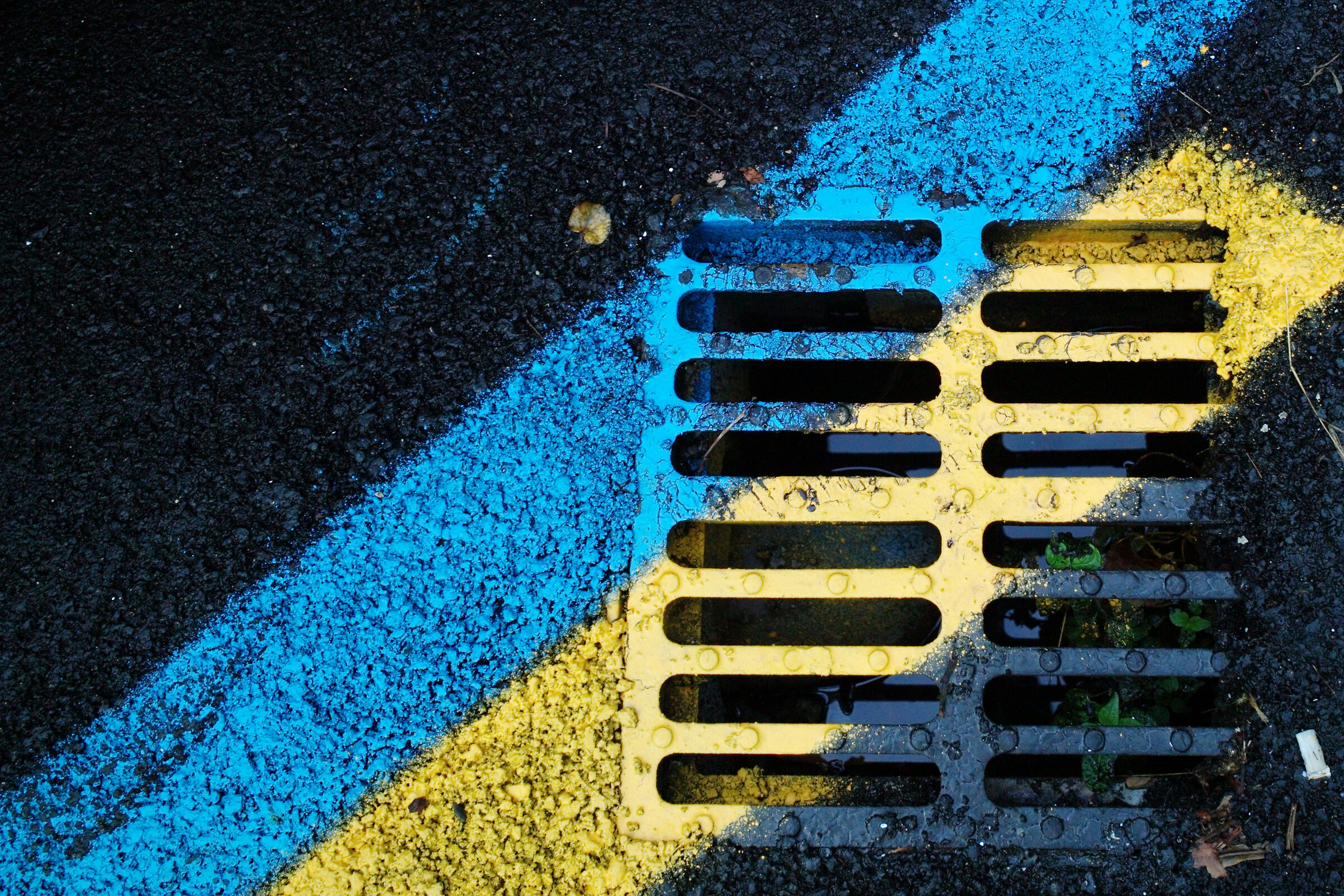 Pesaro 2019: urban signs