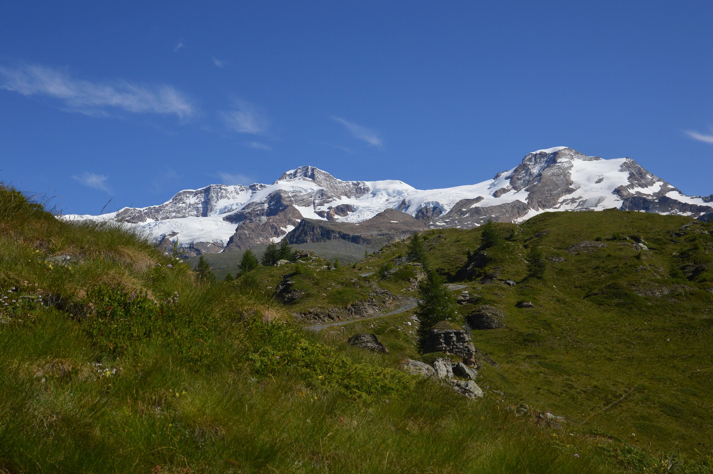 Lyskmann - Gressoney