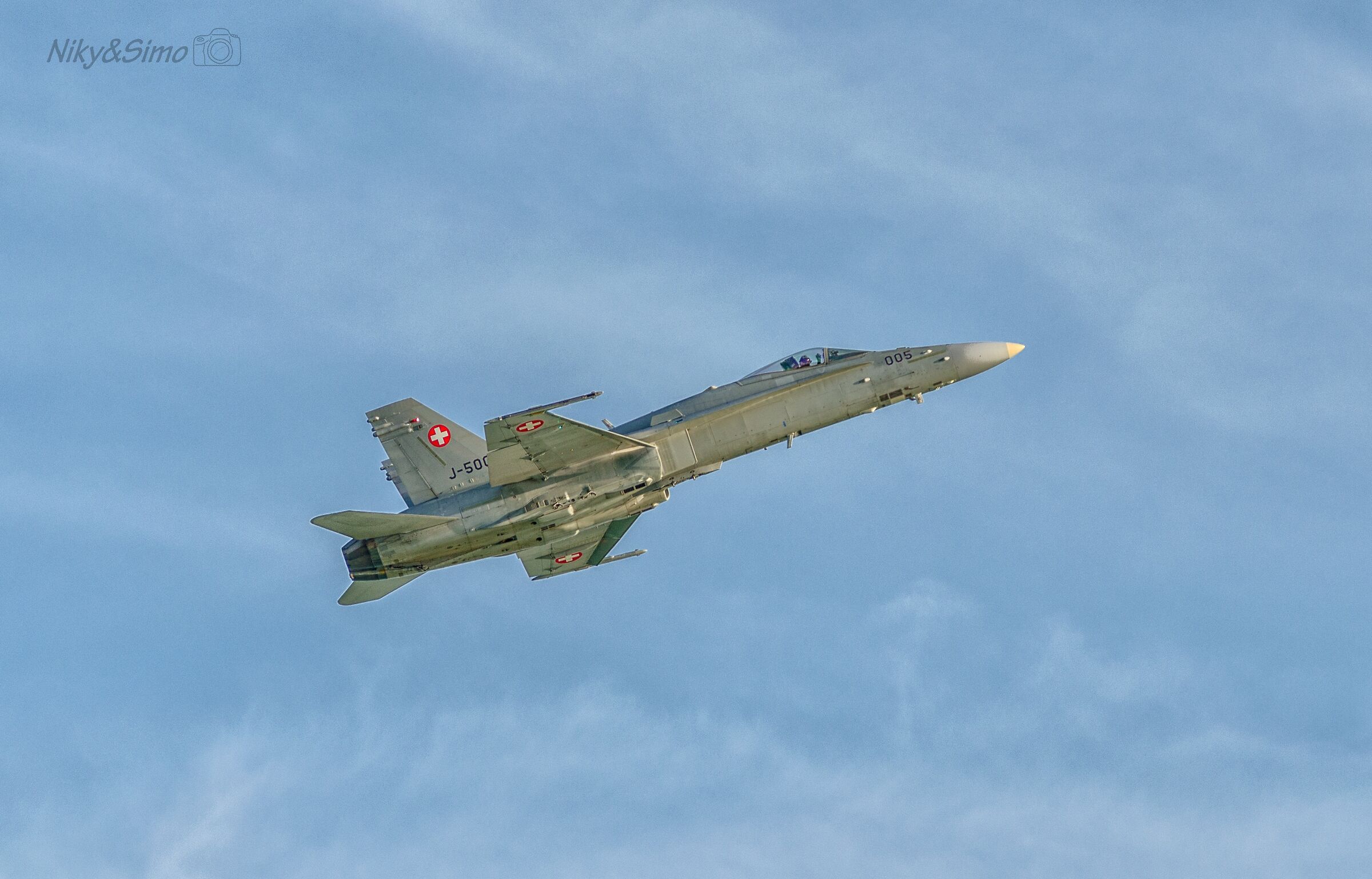 F/A18 Swiss Hornet