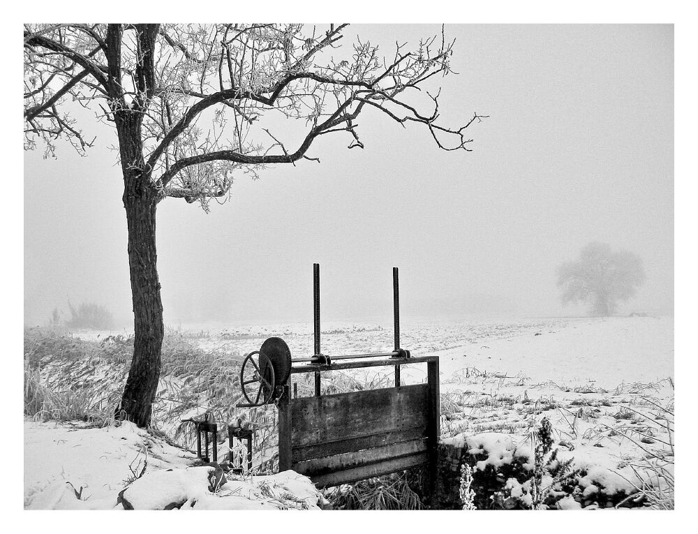 Inverno di alcuni anni fa dalle mie parti