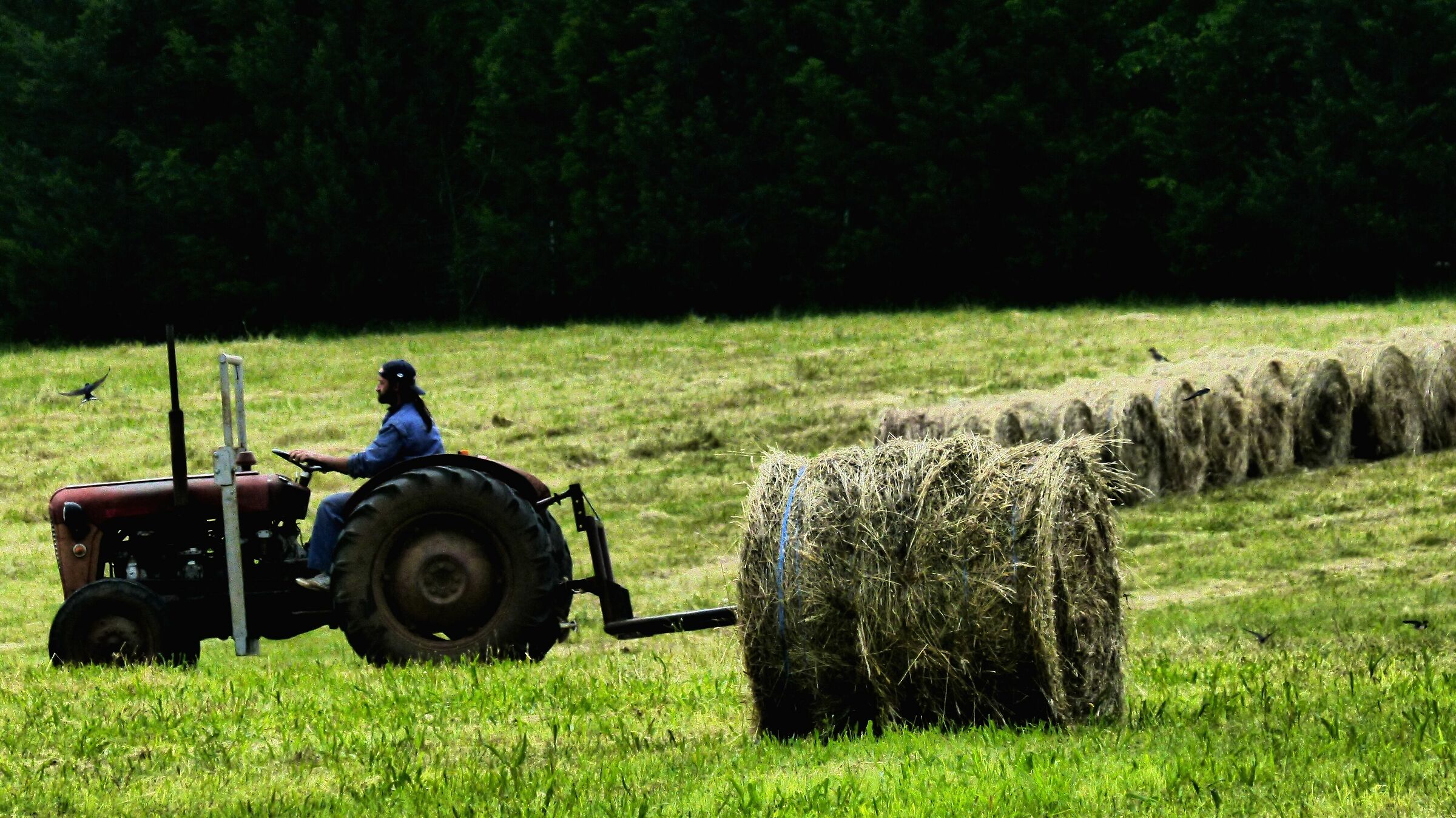 At work..in the countryside