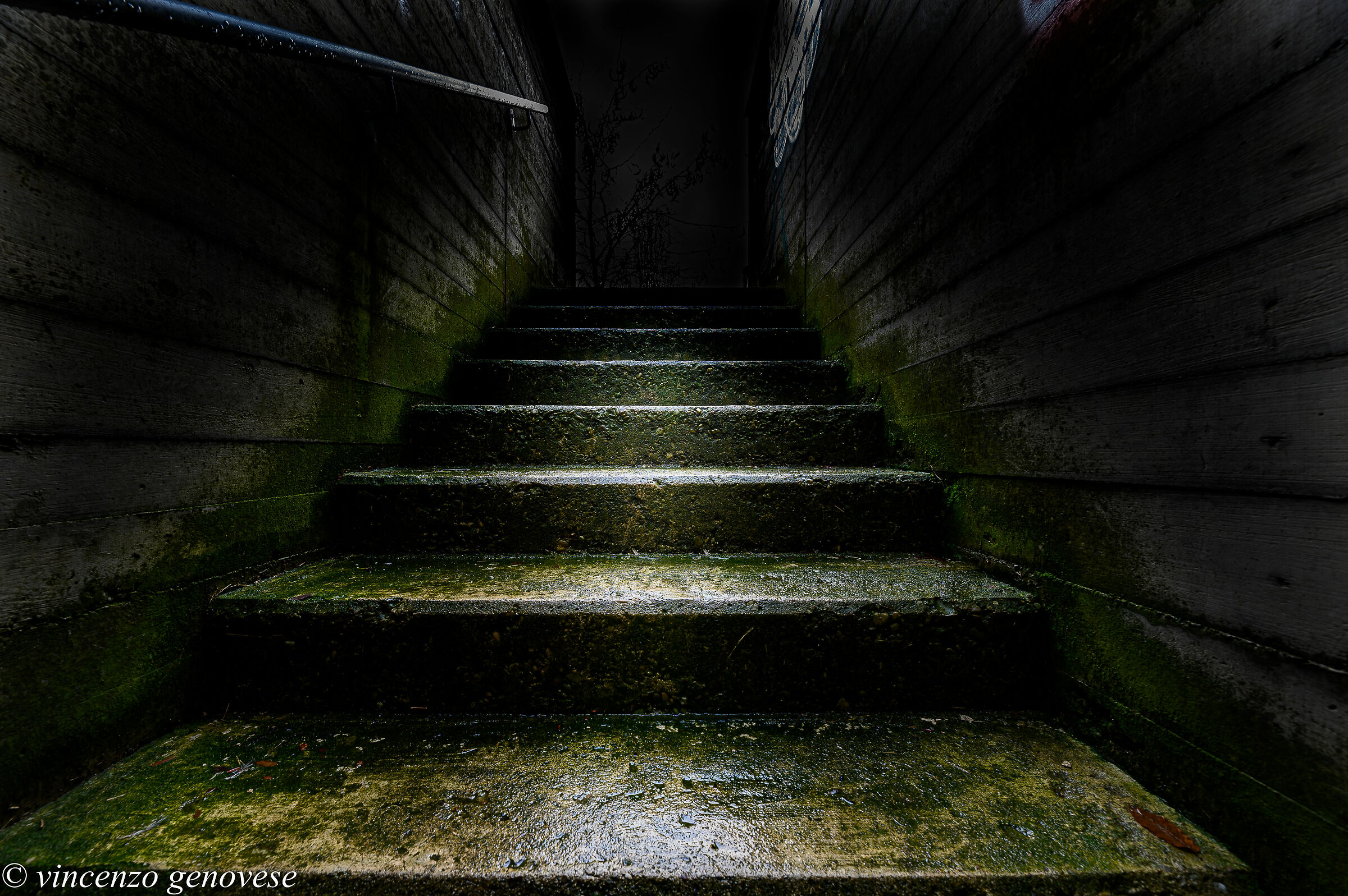 test z6-sigma 14/24 art