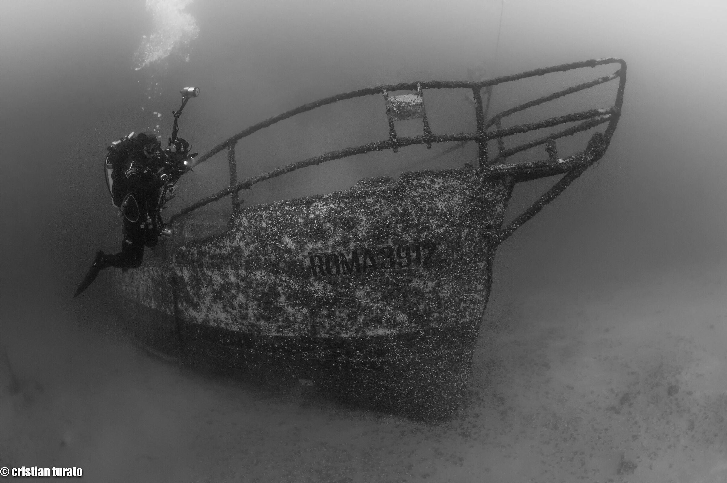 underwater photographer