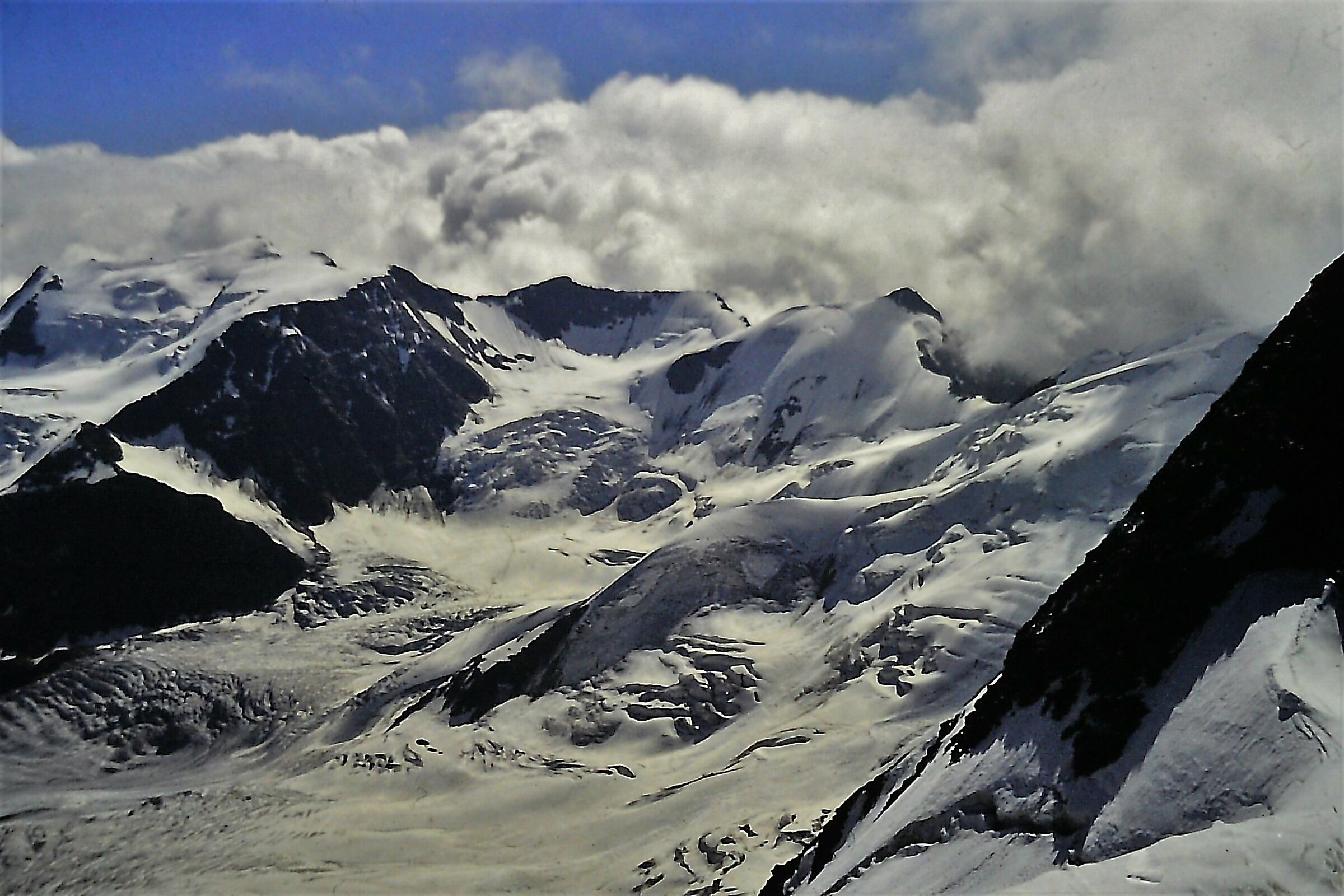 Ghiacciaio dei Forni.Dalla cima Tresero.