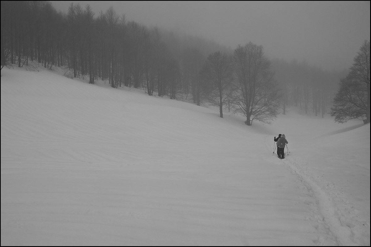 snowshoeing snow .... fog ...