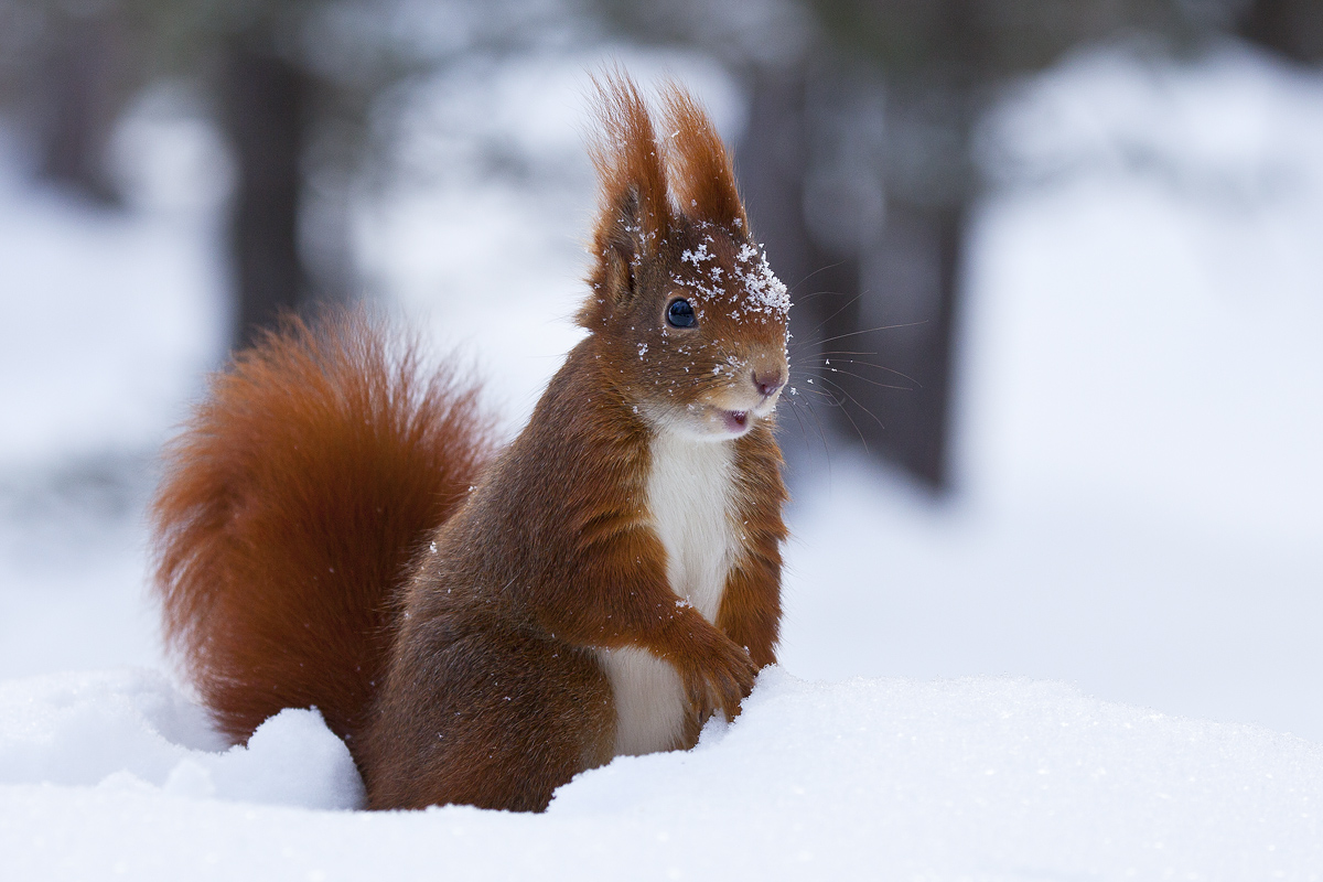 I'm very happy..........