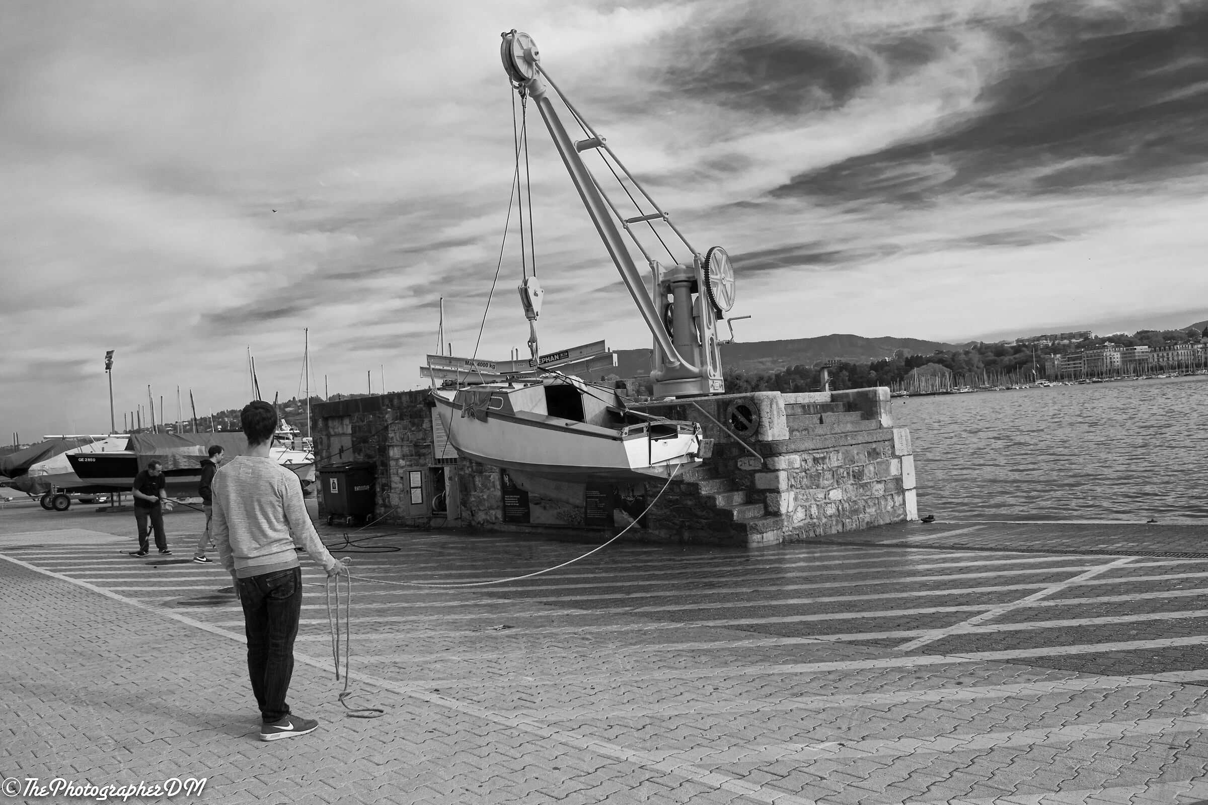 Life around the Lake