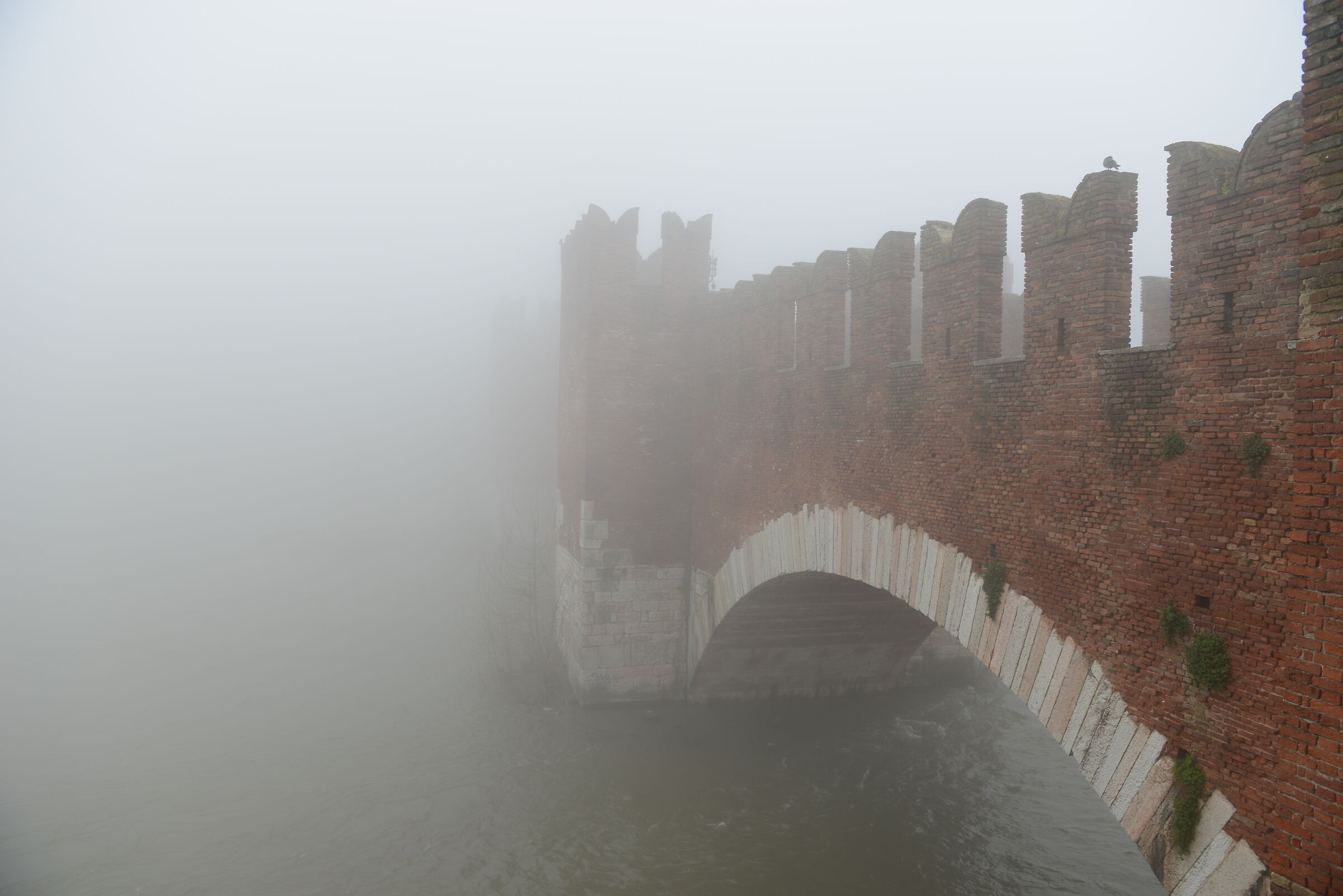 Bridge in the fog