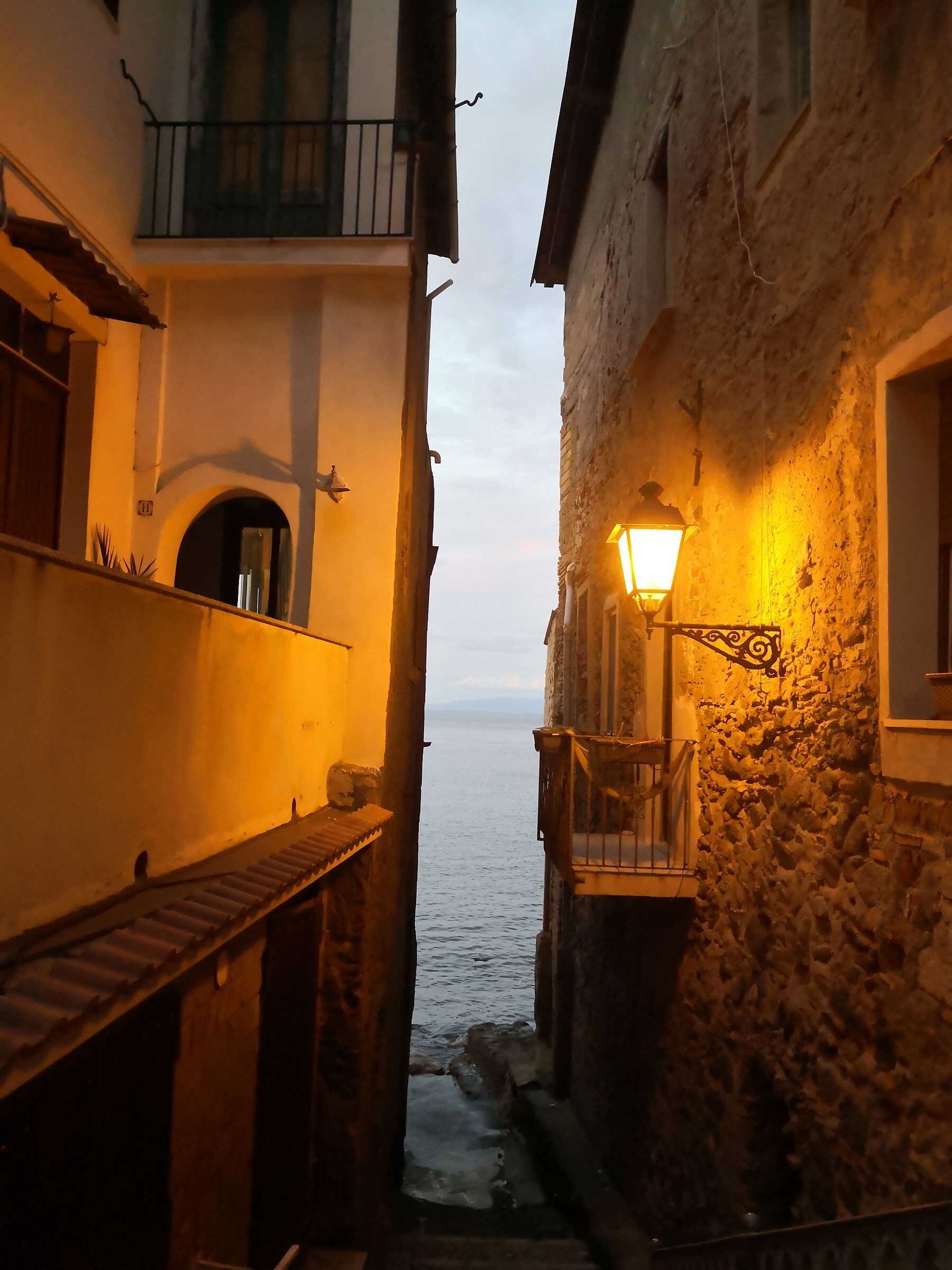 Scilla