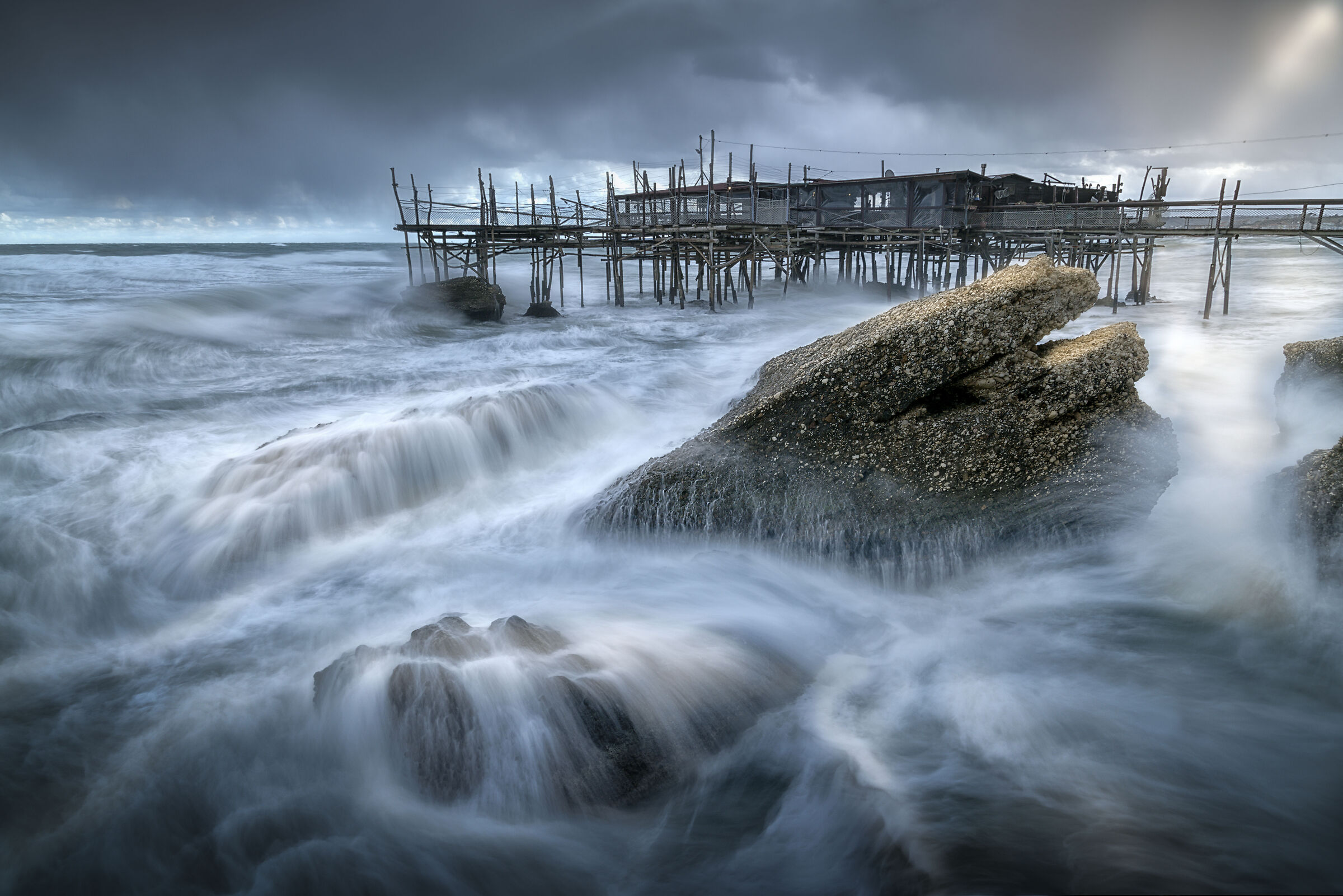 The Song of the Whale