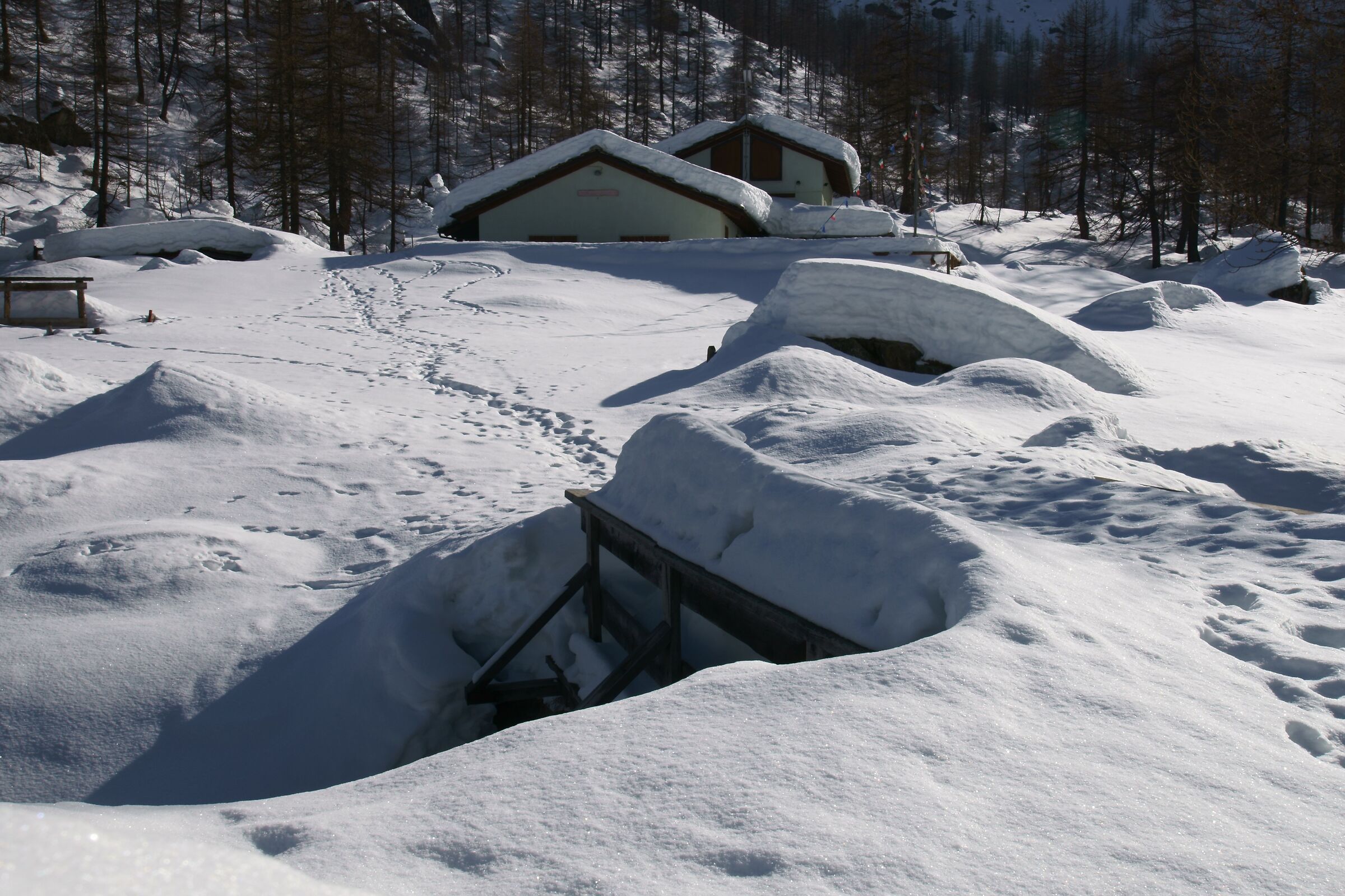 barbara shelter January 2020