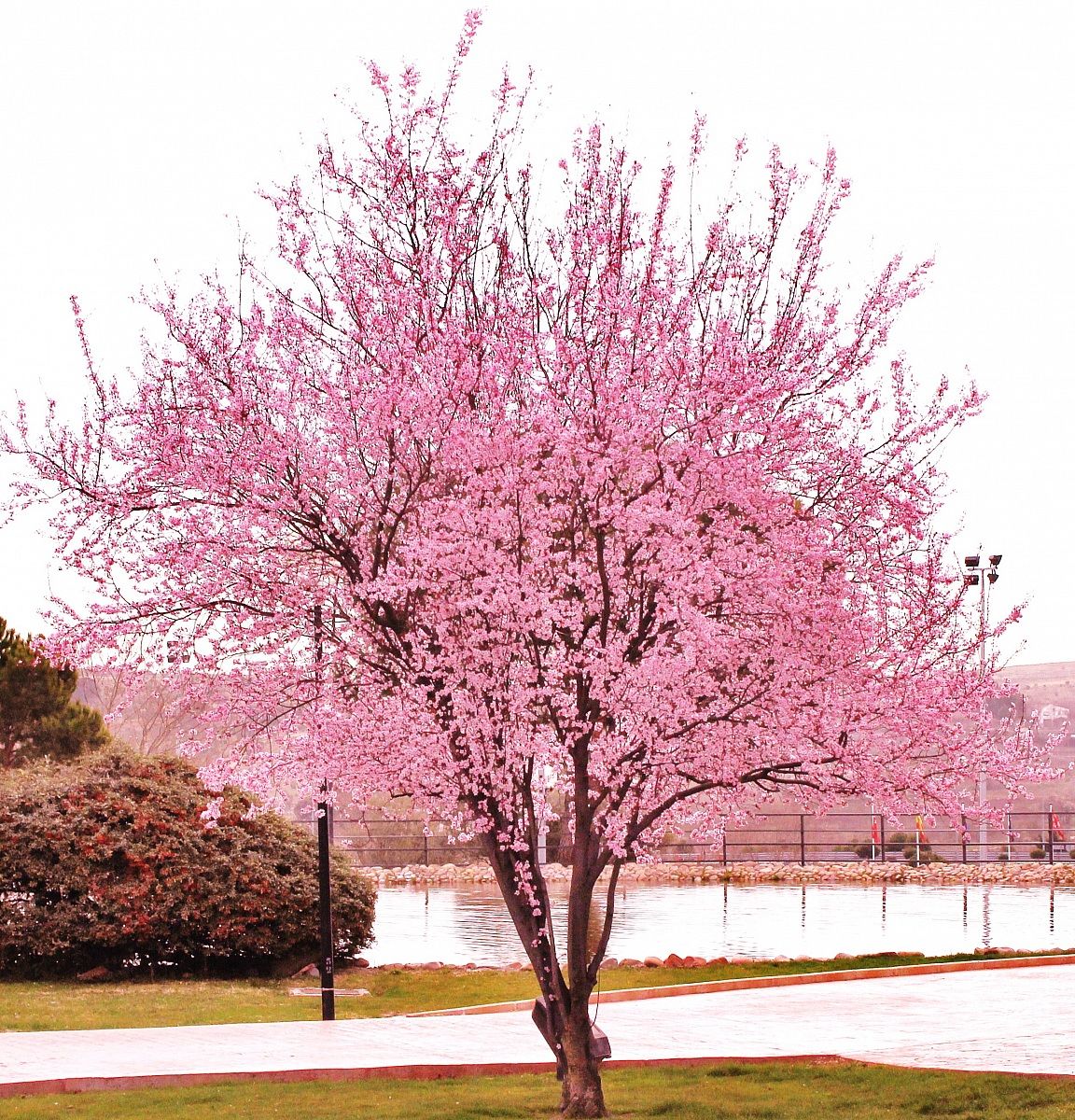 Villa Viciosa de Odon (Madrid)