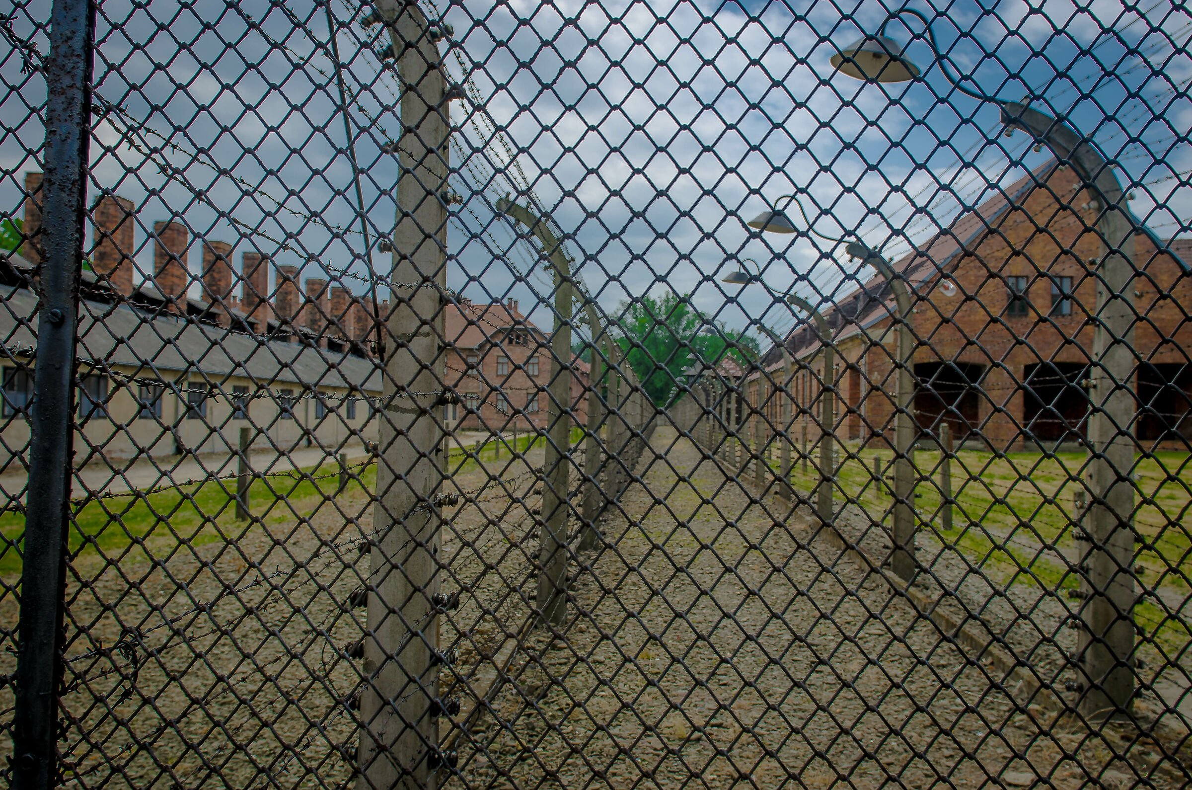 The Network of Death