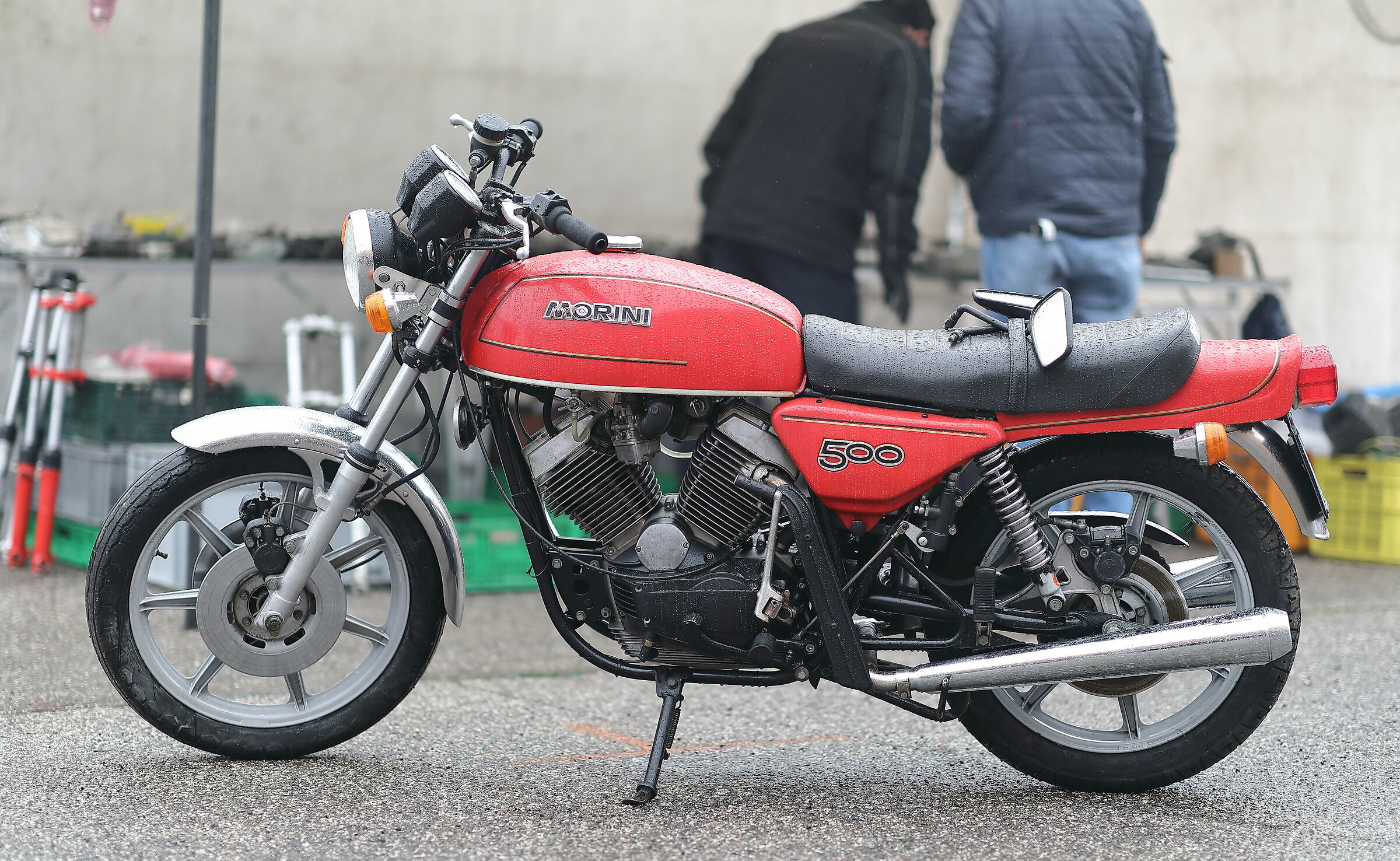 Ferrara - 25/01/2020