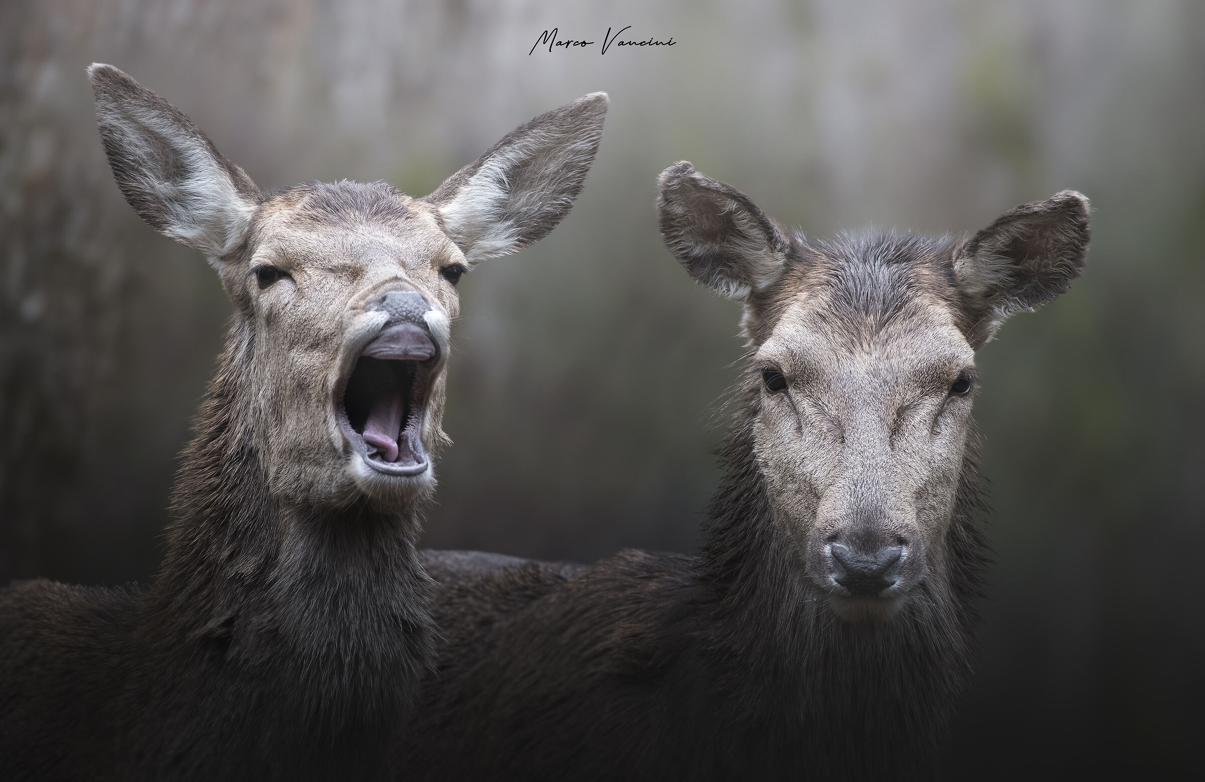 Dai.. mettiamoci in posa..