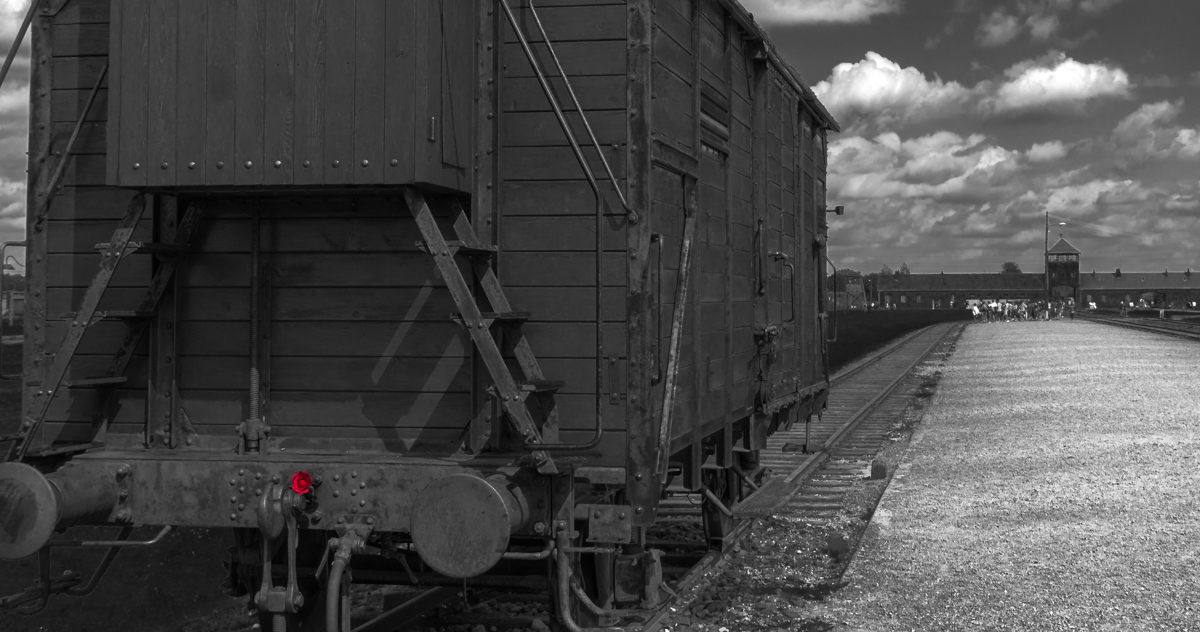 Auschwitz - Birkenau