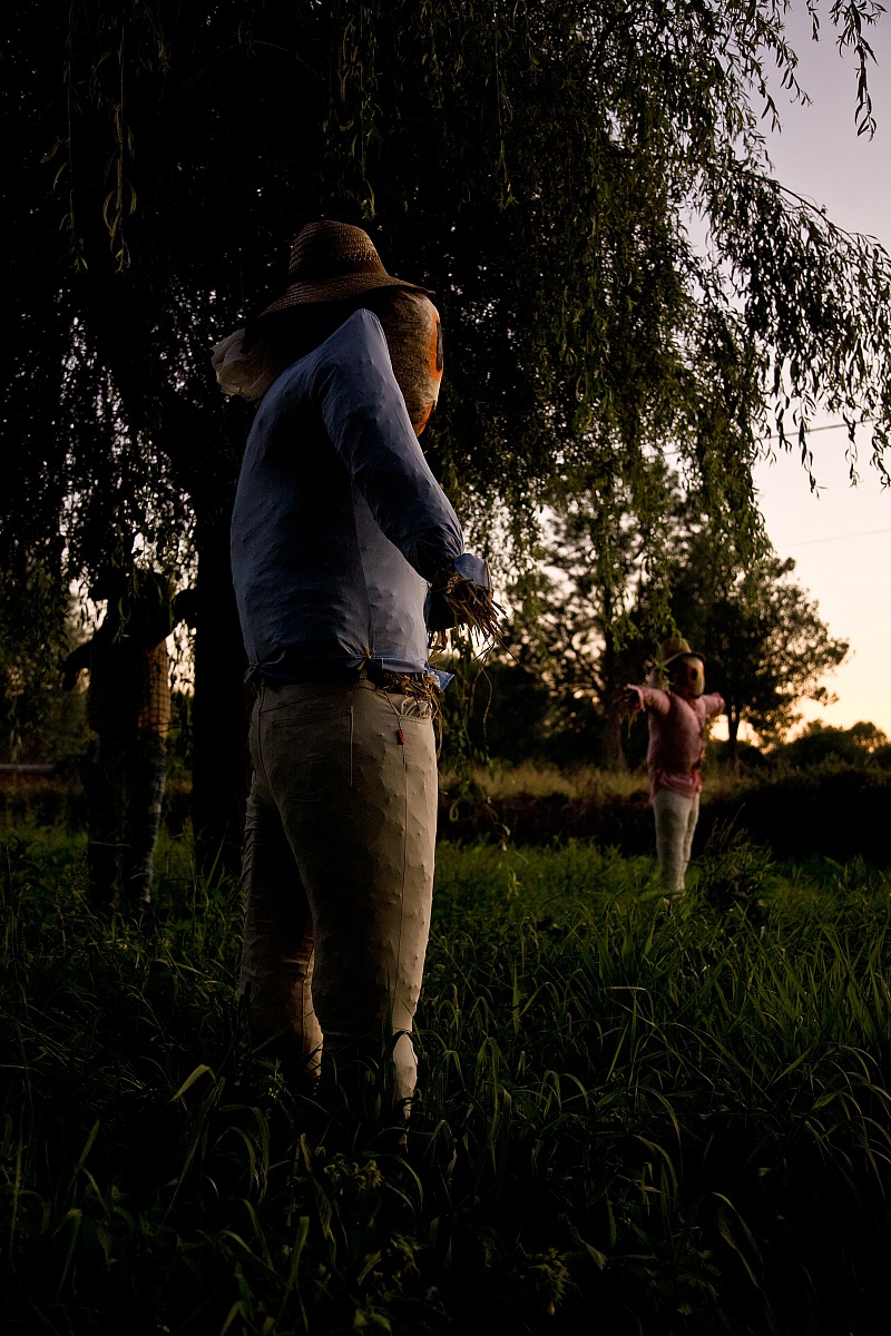 Spaventapasseri 1, Favieres