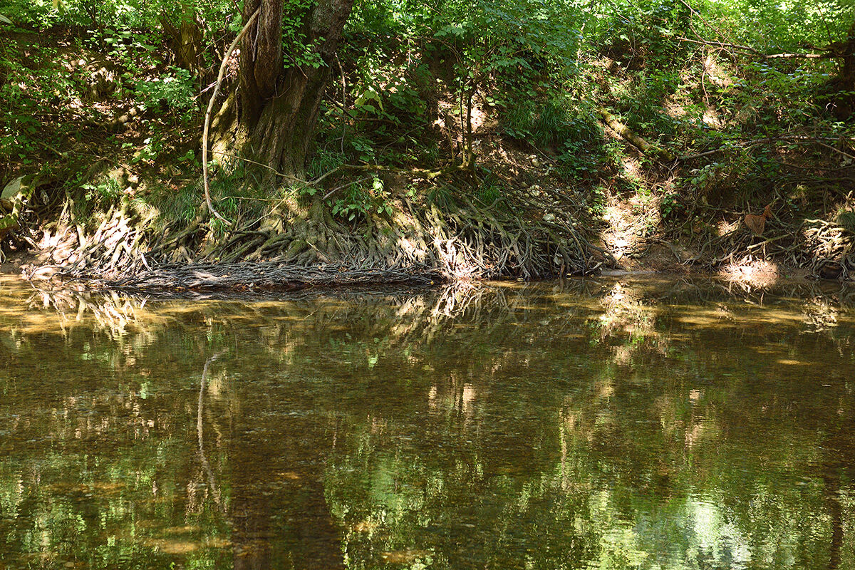 Fiume Sava, Slovenia.