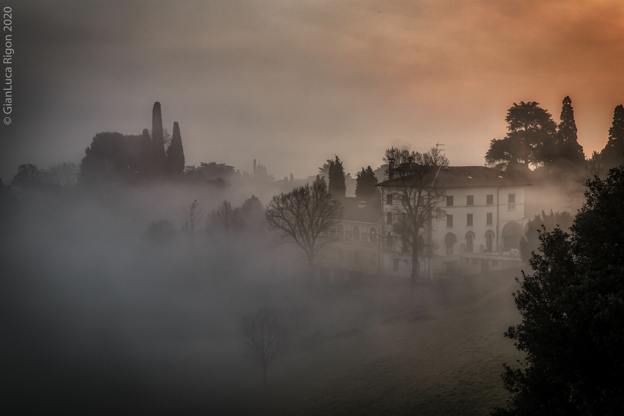 Alba nebbiosa (1)