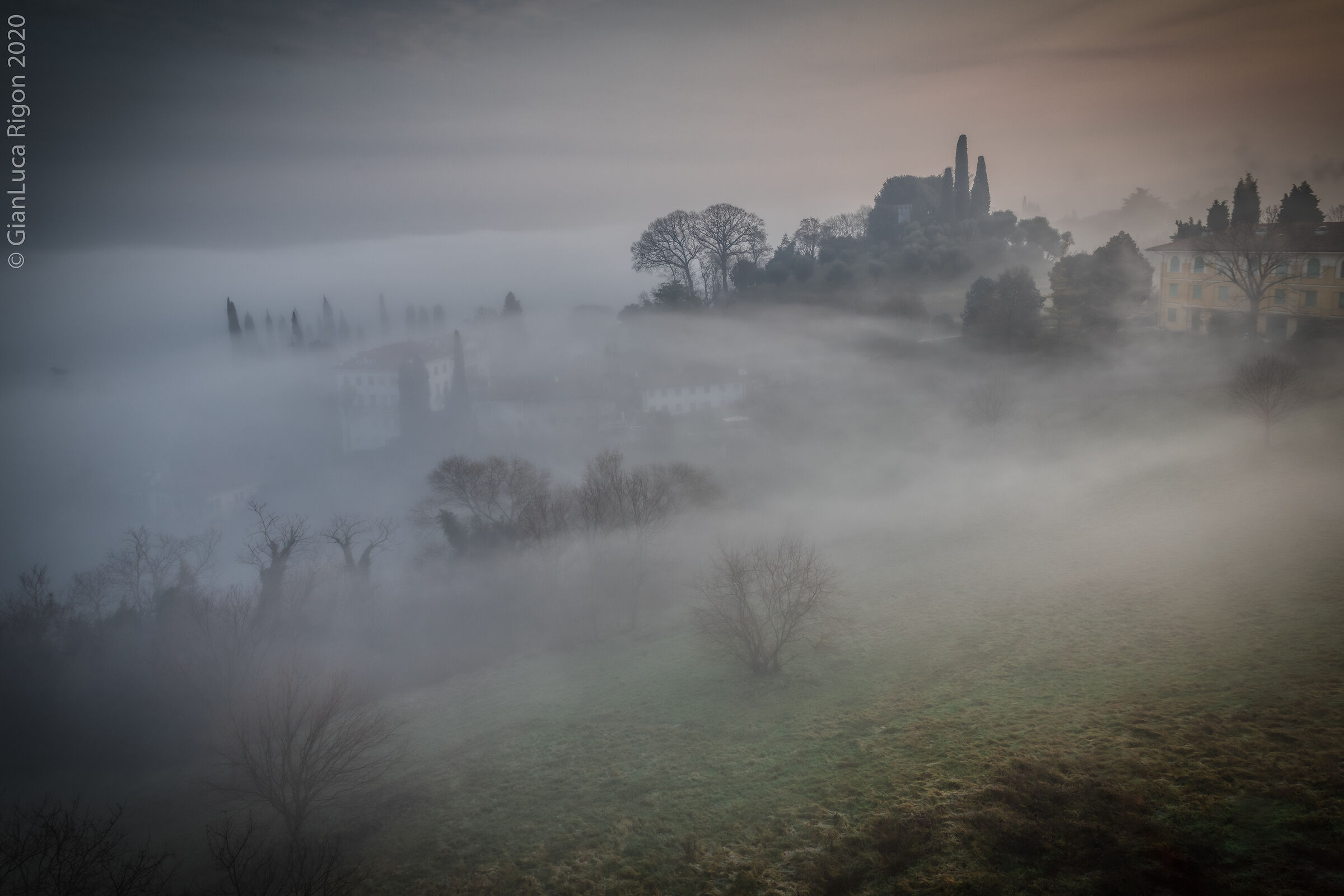 Alba nebbiosa (3)