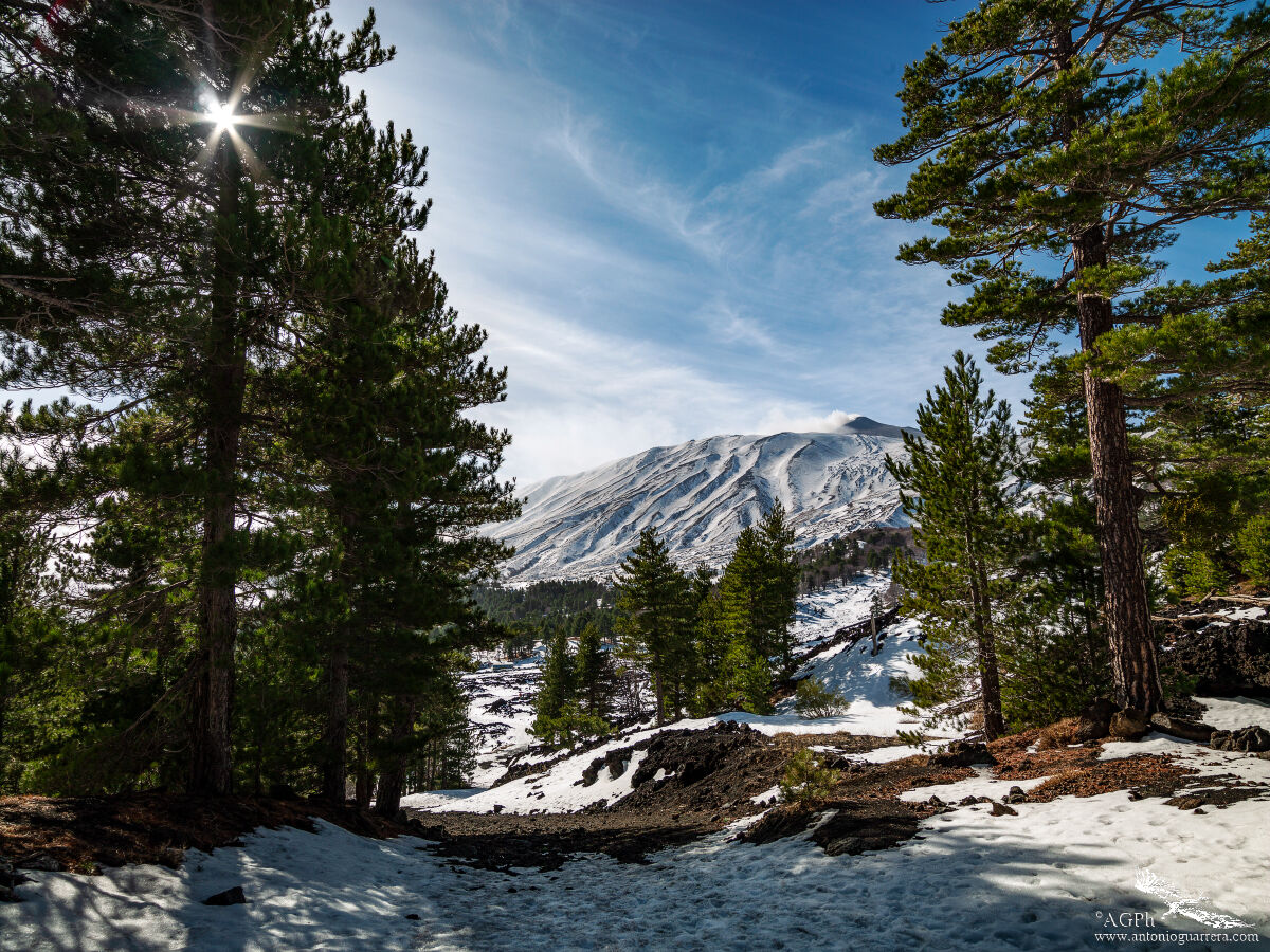 Splendida Etna