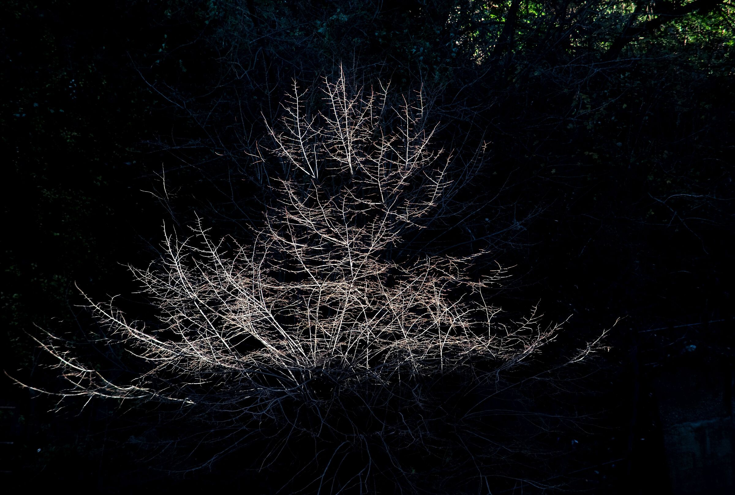 In the middle of winter