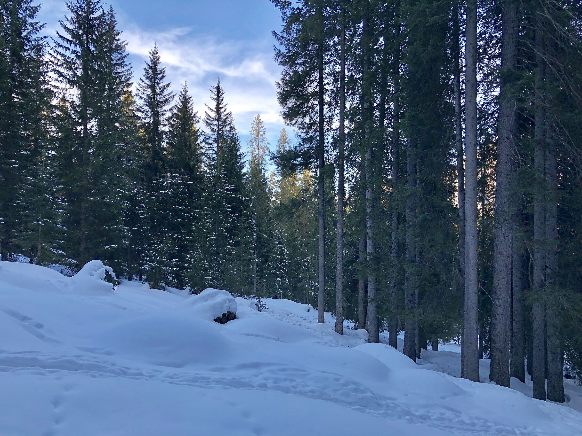 zona Campo Carlo Magno