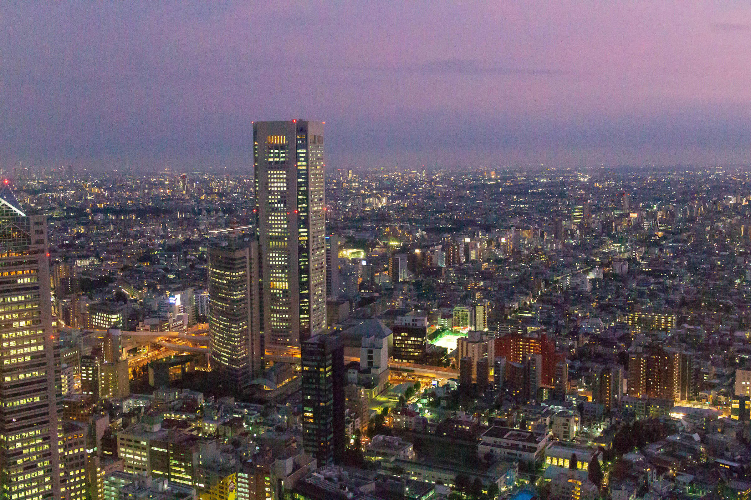 Panorama di Tokyo dal Palazzo del governo metropolitano