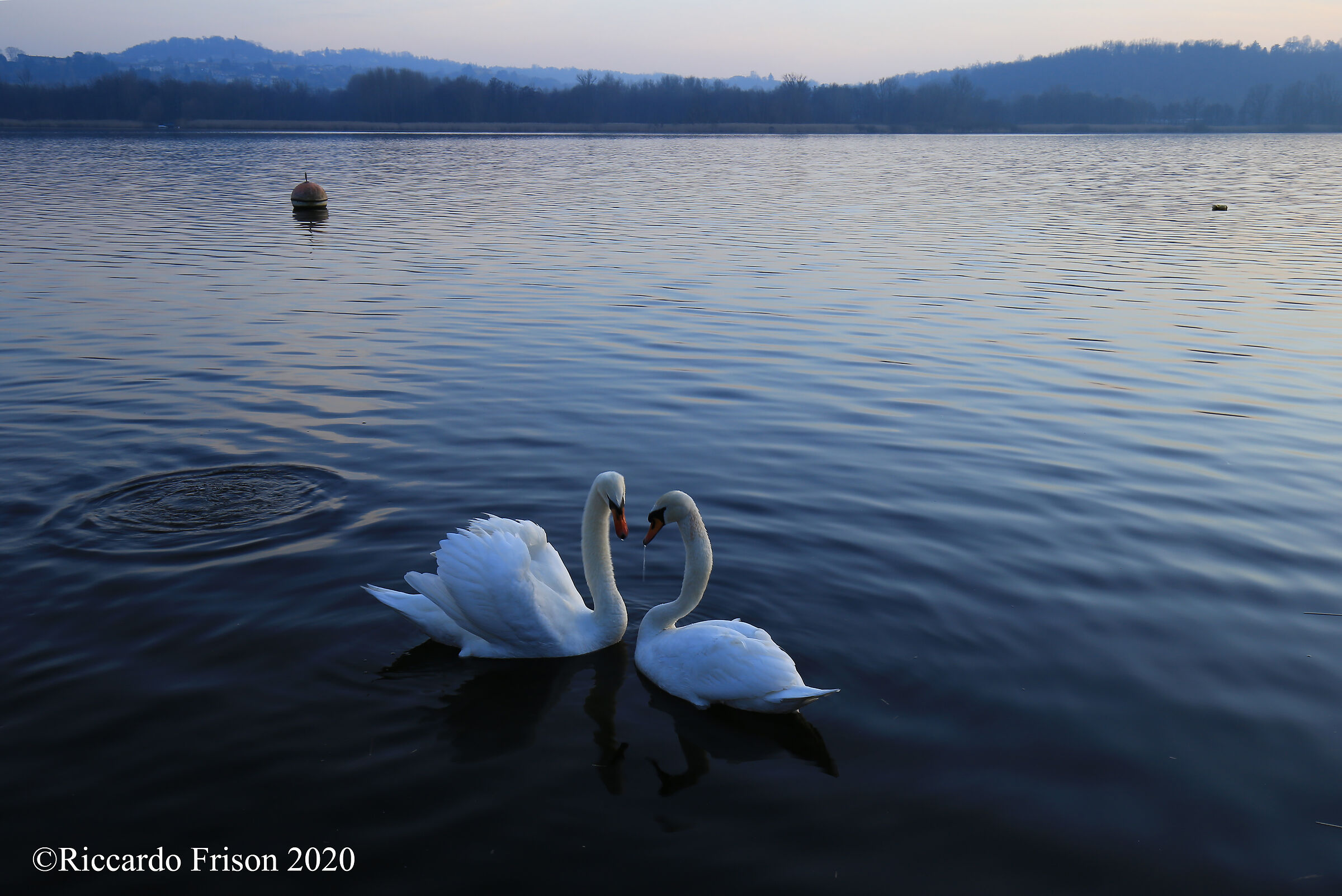 Lake Varese