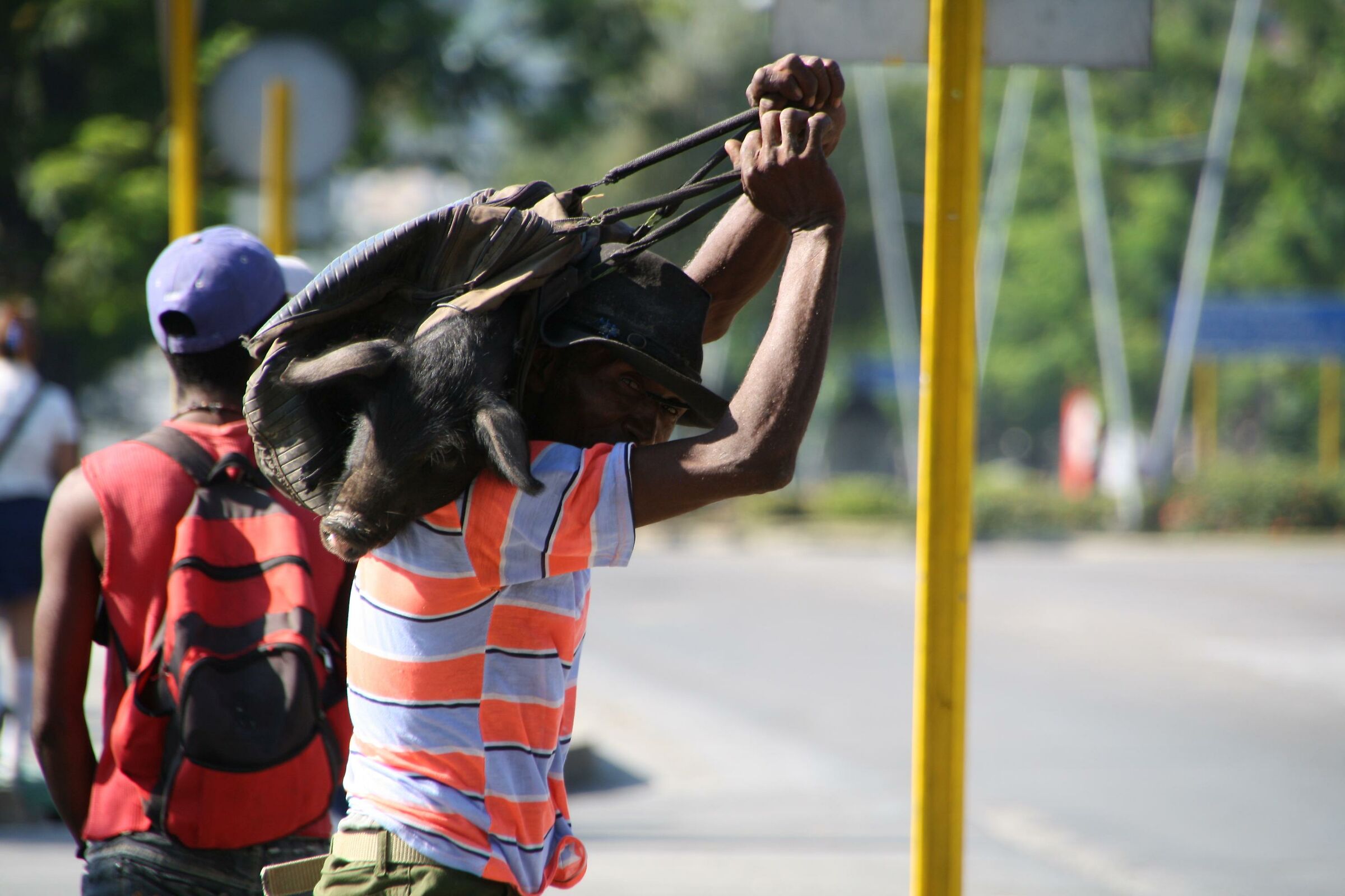 Trasporto inconsueto