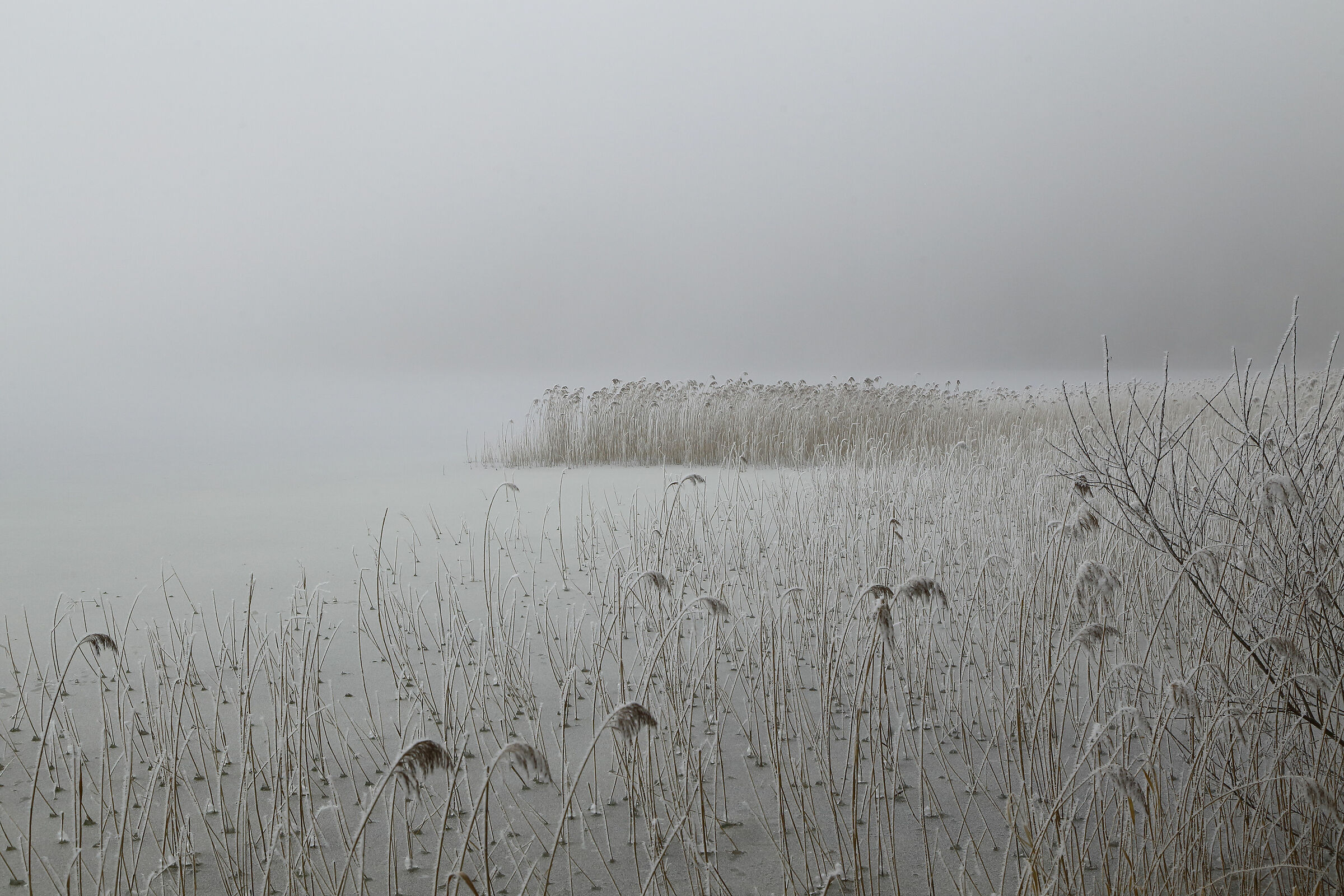 Frozen Weissensee Germania
