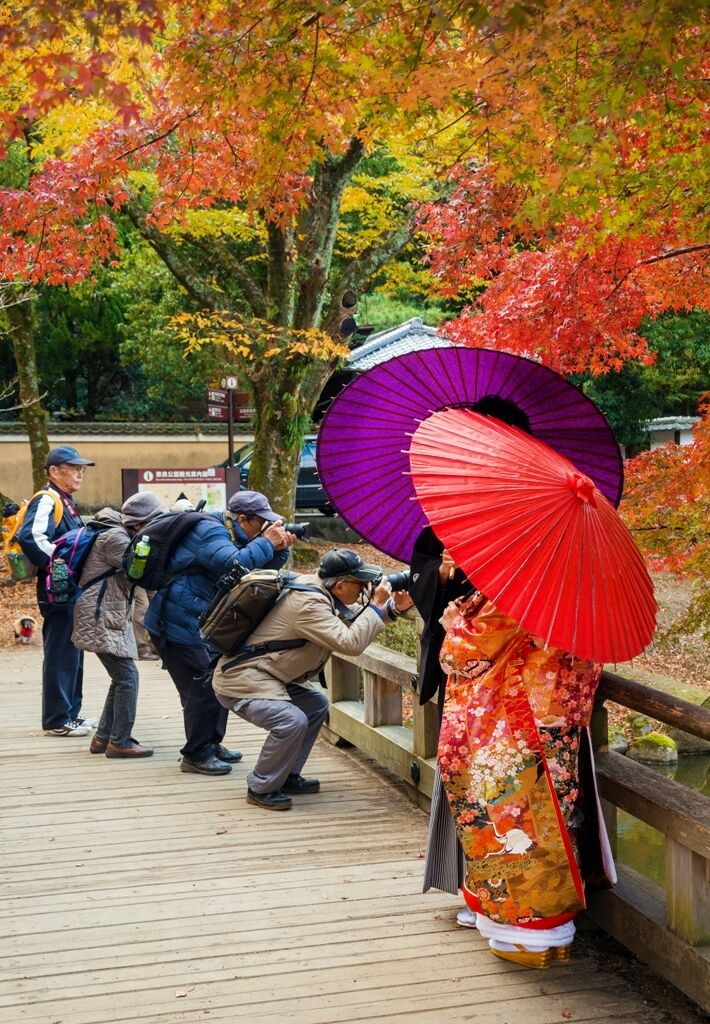 Photographing in Japan