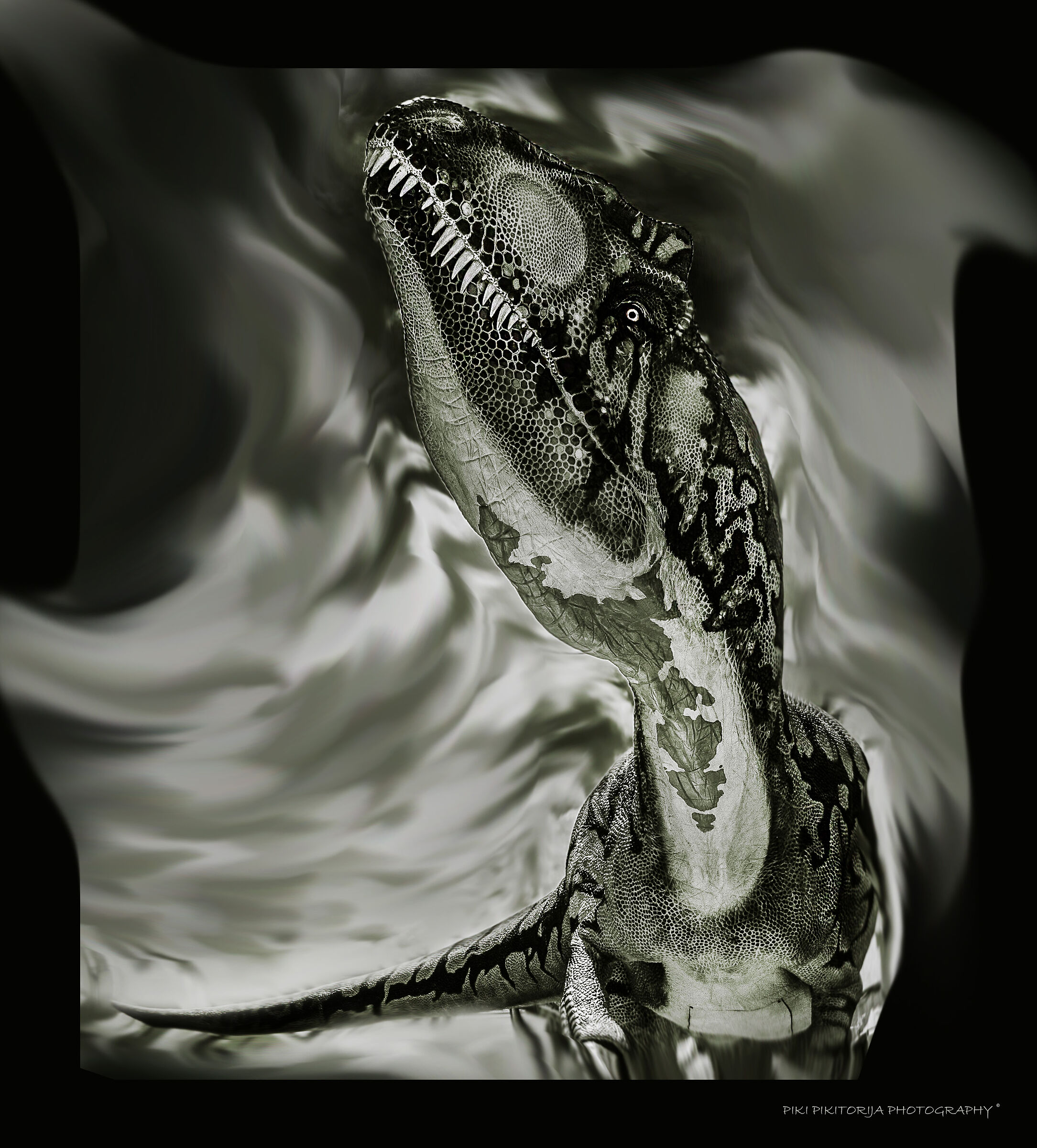 Impressionante contatto con la storia