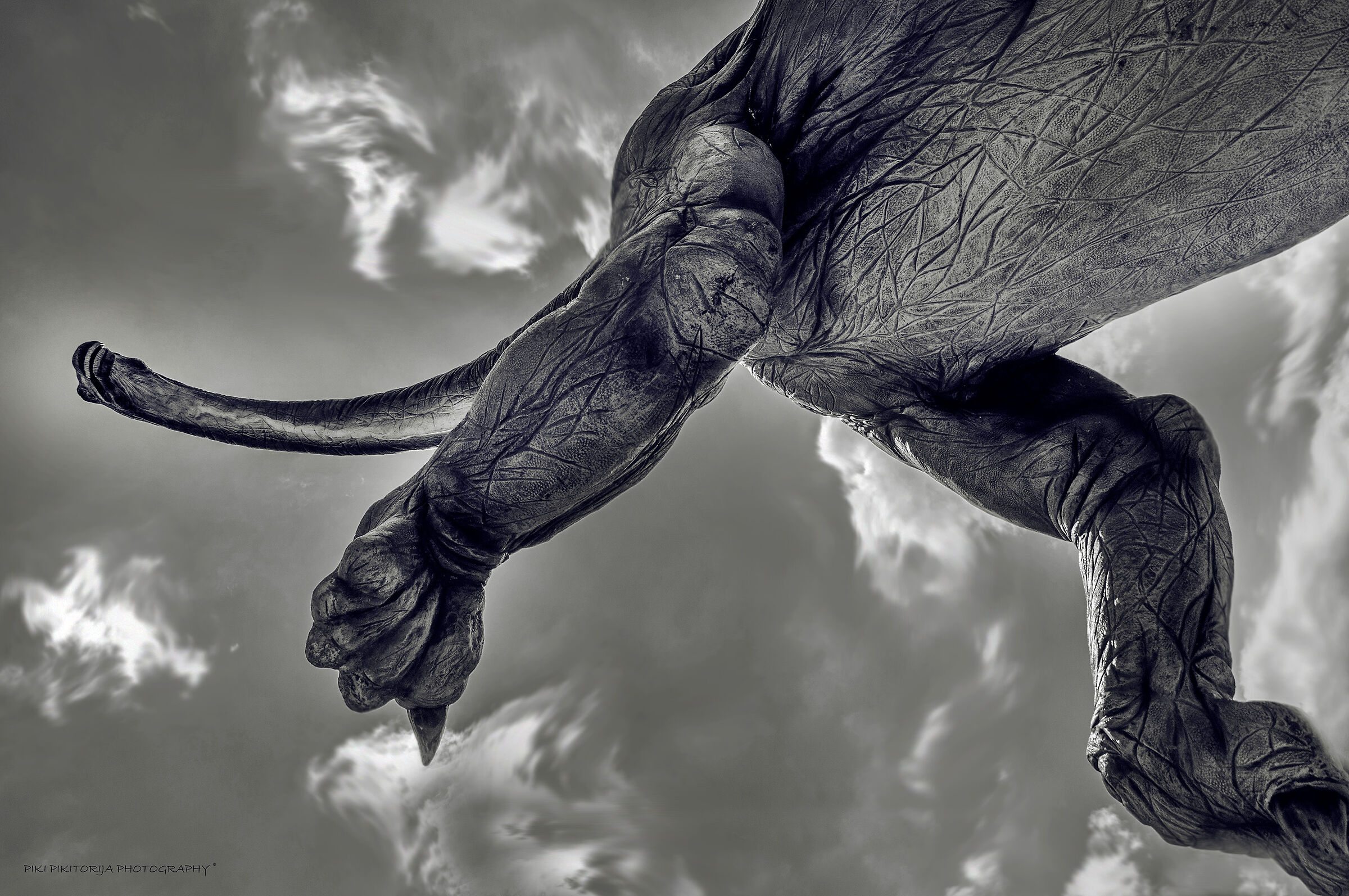 Impressionante contatto con la storia