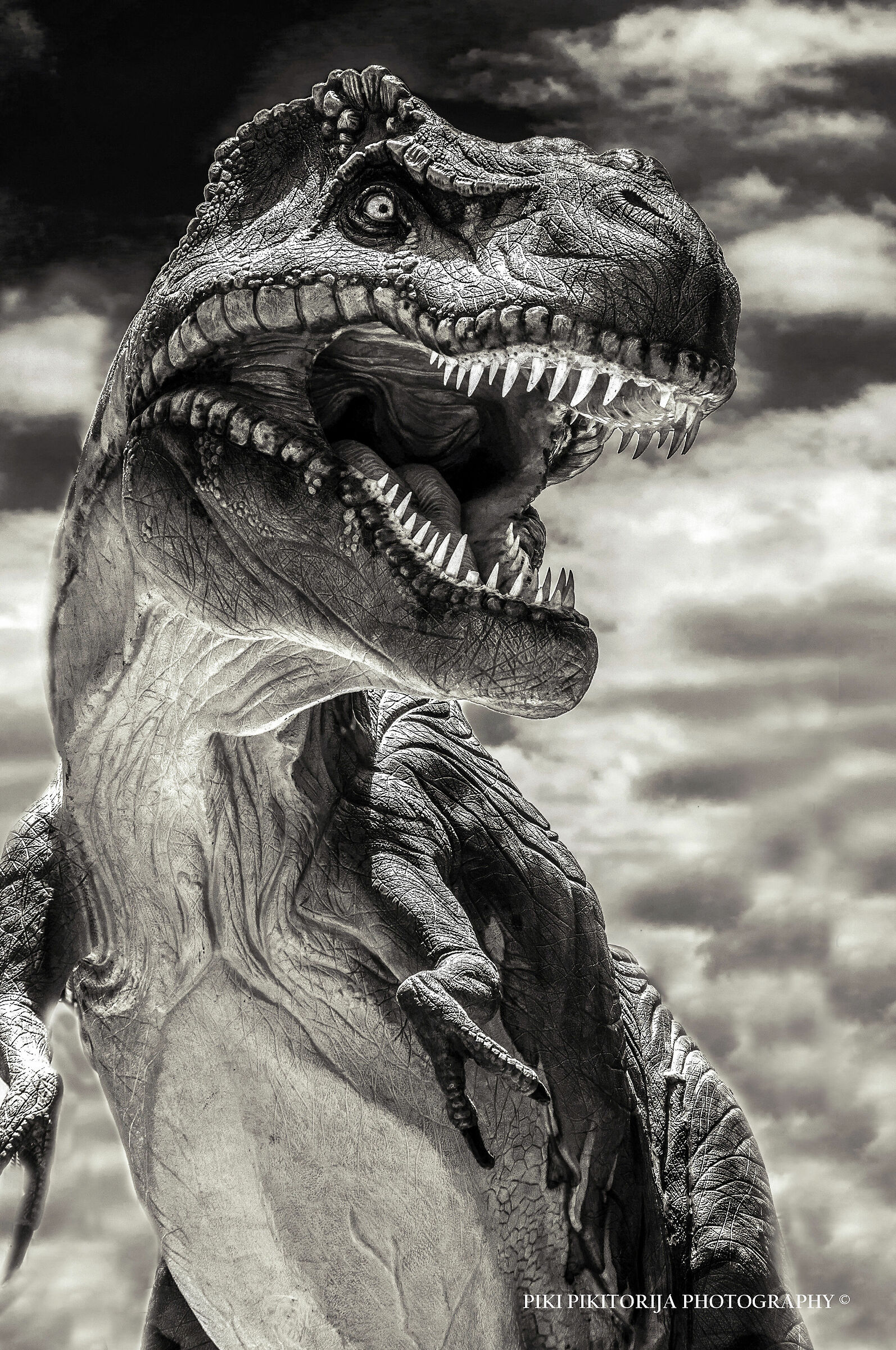 Impressionante contatto con la storia