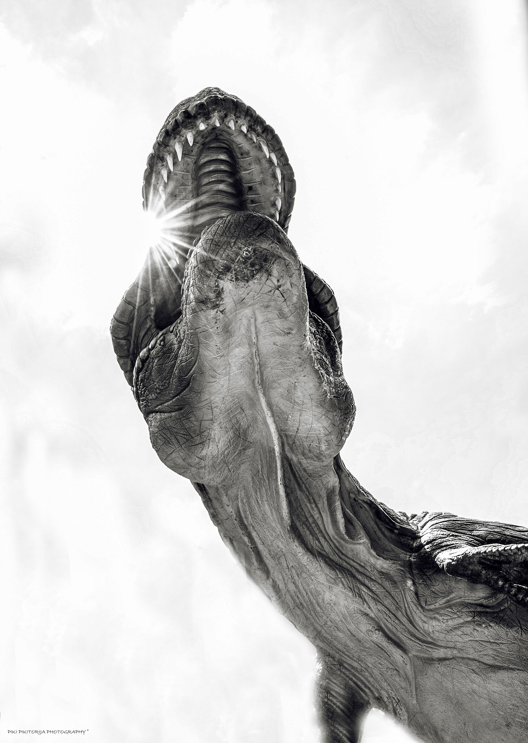 Impressionante contatto con la storia