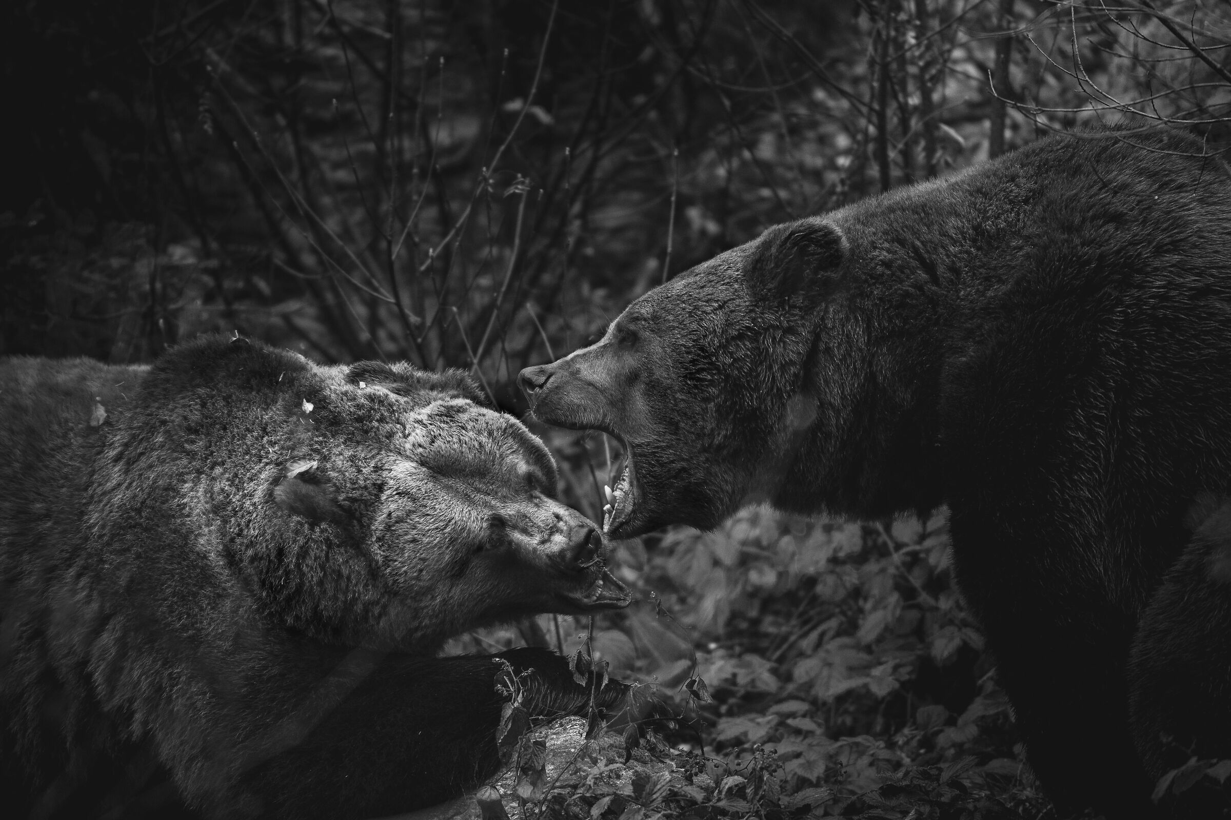 The tough challenge of life