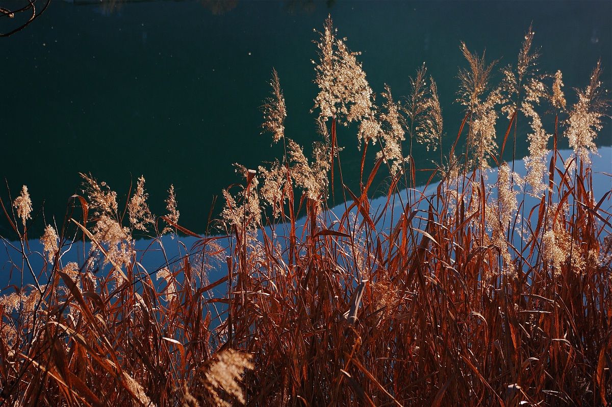Ciclabile Valtellina-n.2-Laghetto di Lovero