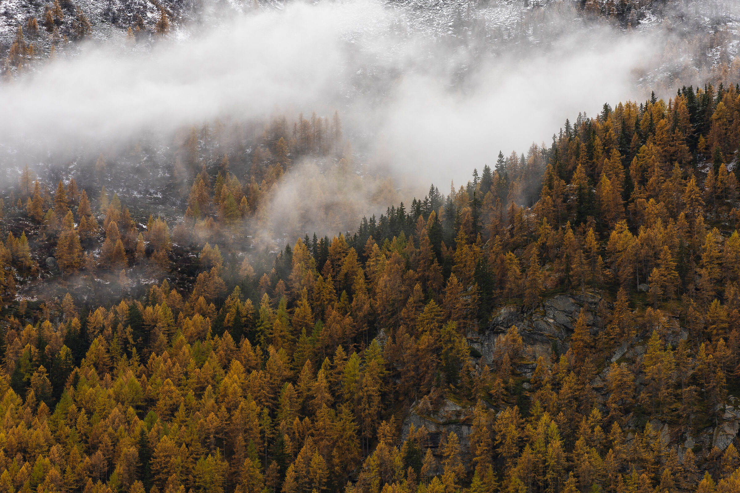 Autunno in montagna