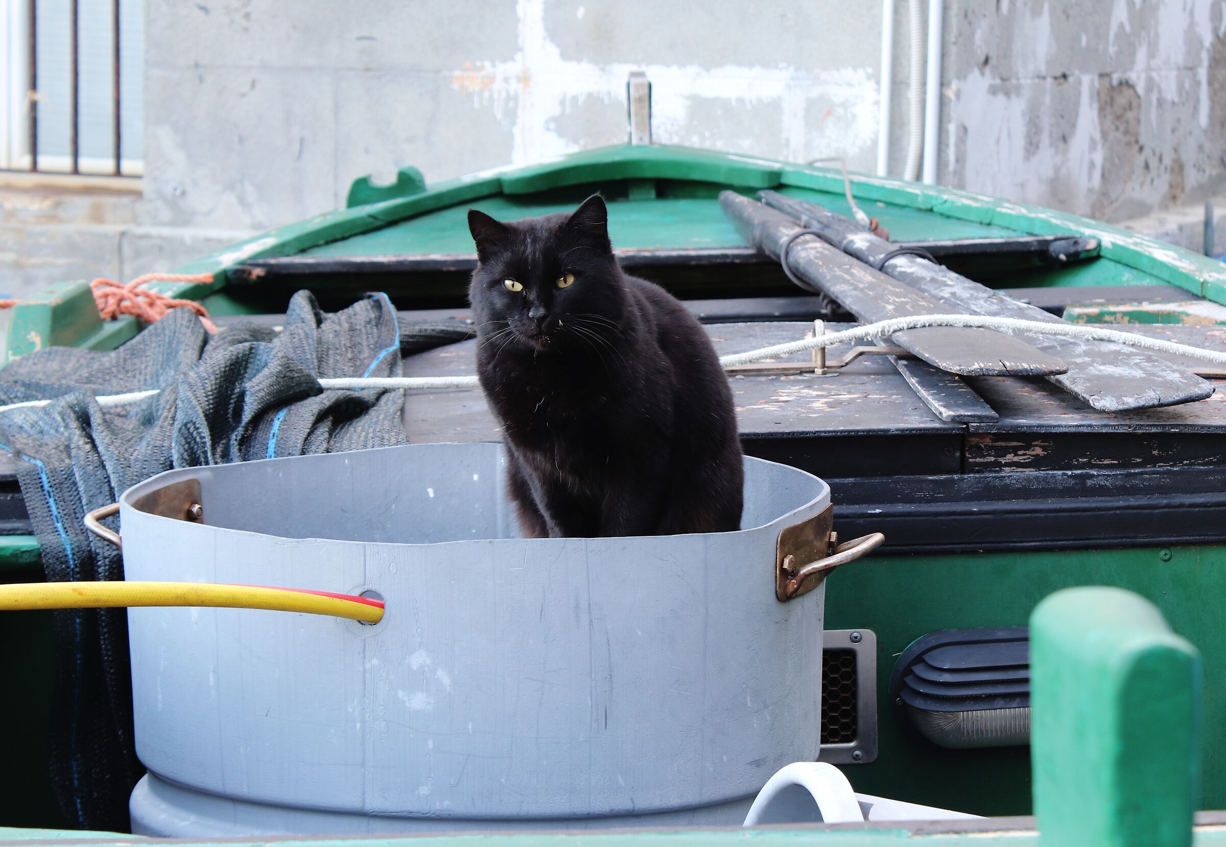 Uffa!La solita zuppa