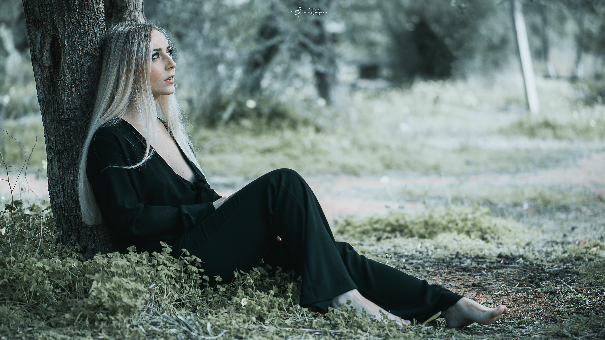 sweetness and character