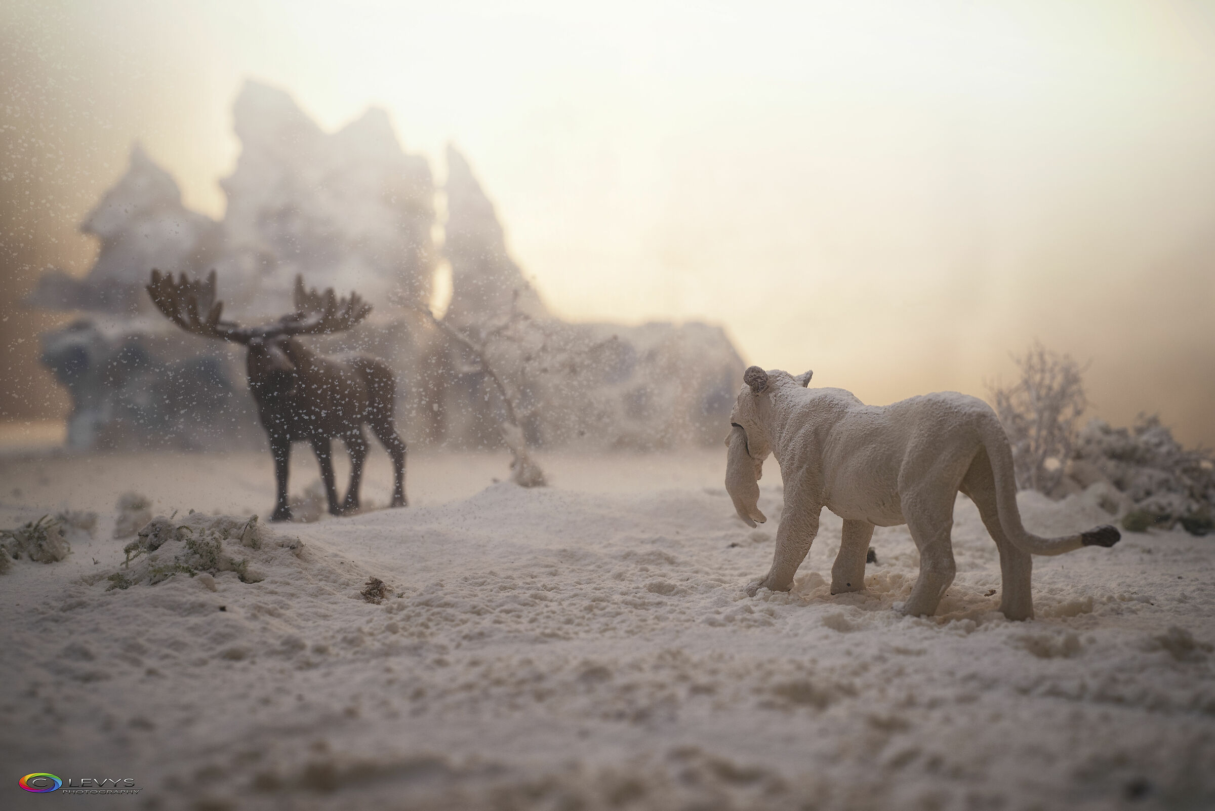 Don'T Forget To Breathe